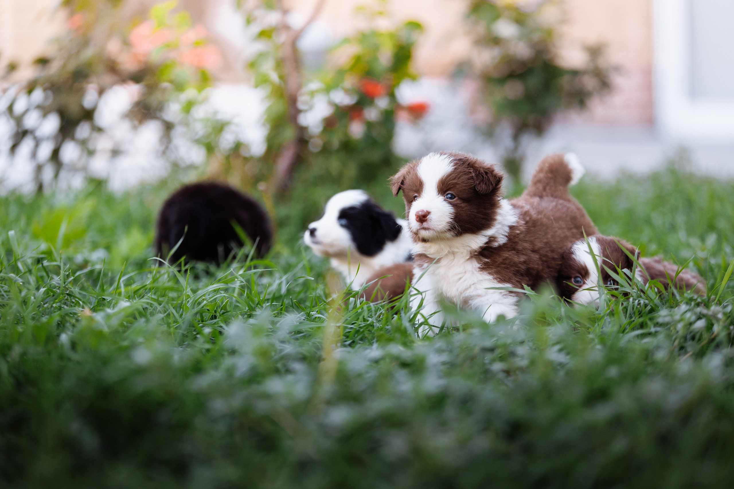 МММ — маленькое мягкое милое. О нас