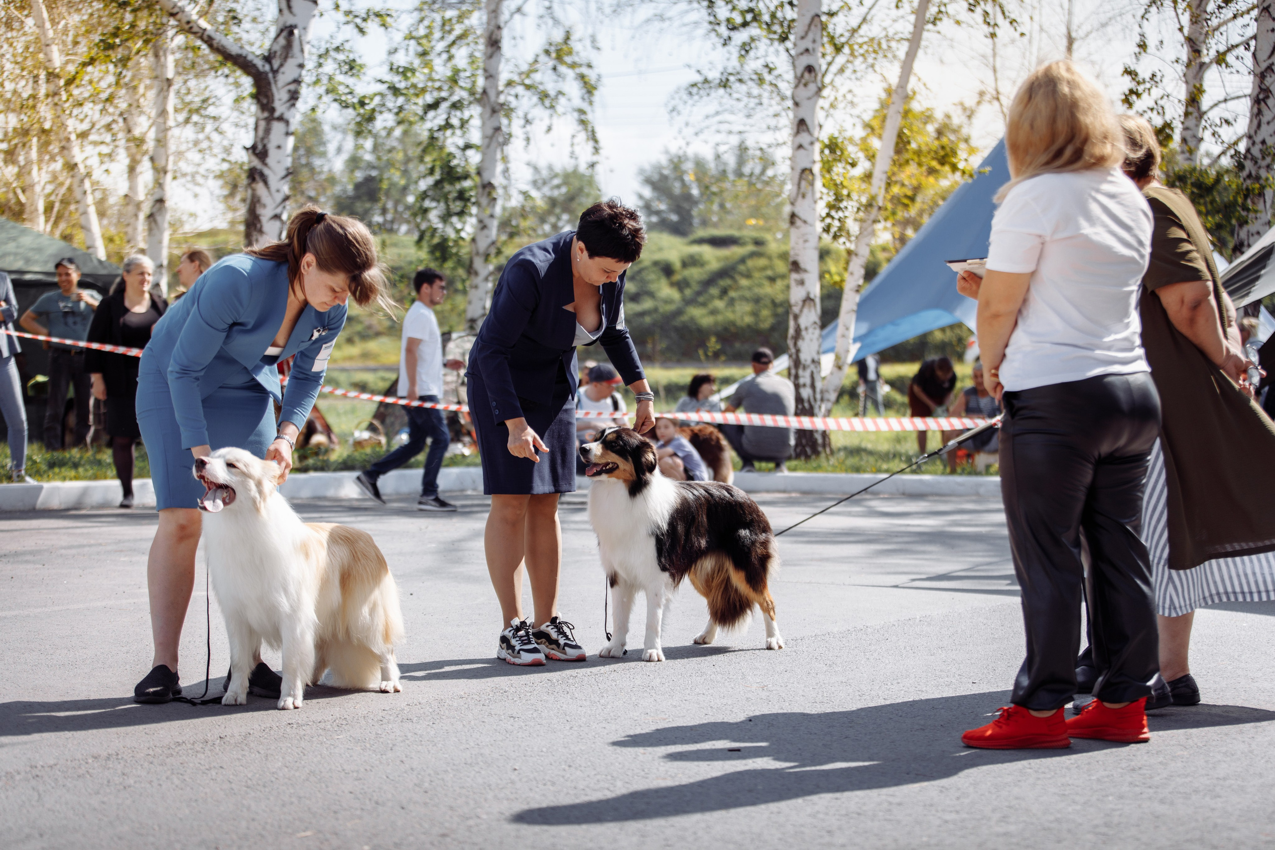 Оренбург с моно 22. О нас