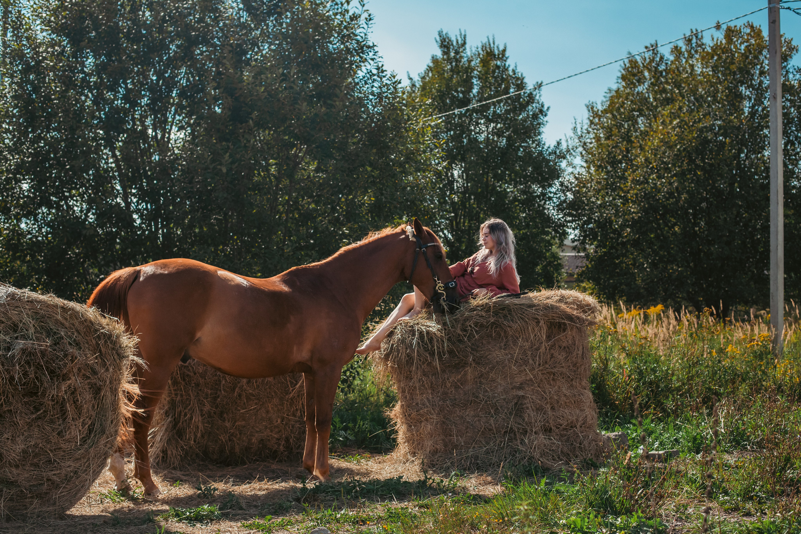 Экспресс фотопрогулка на конюшне. Фотограф-анималист Татьяна Степанова