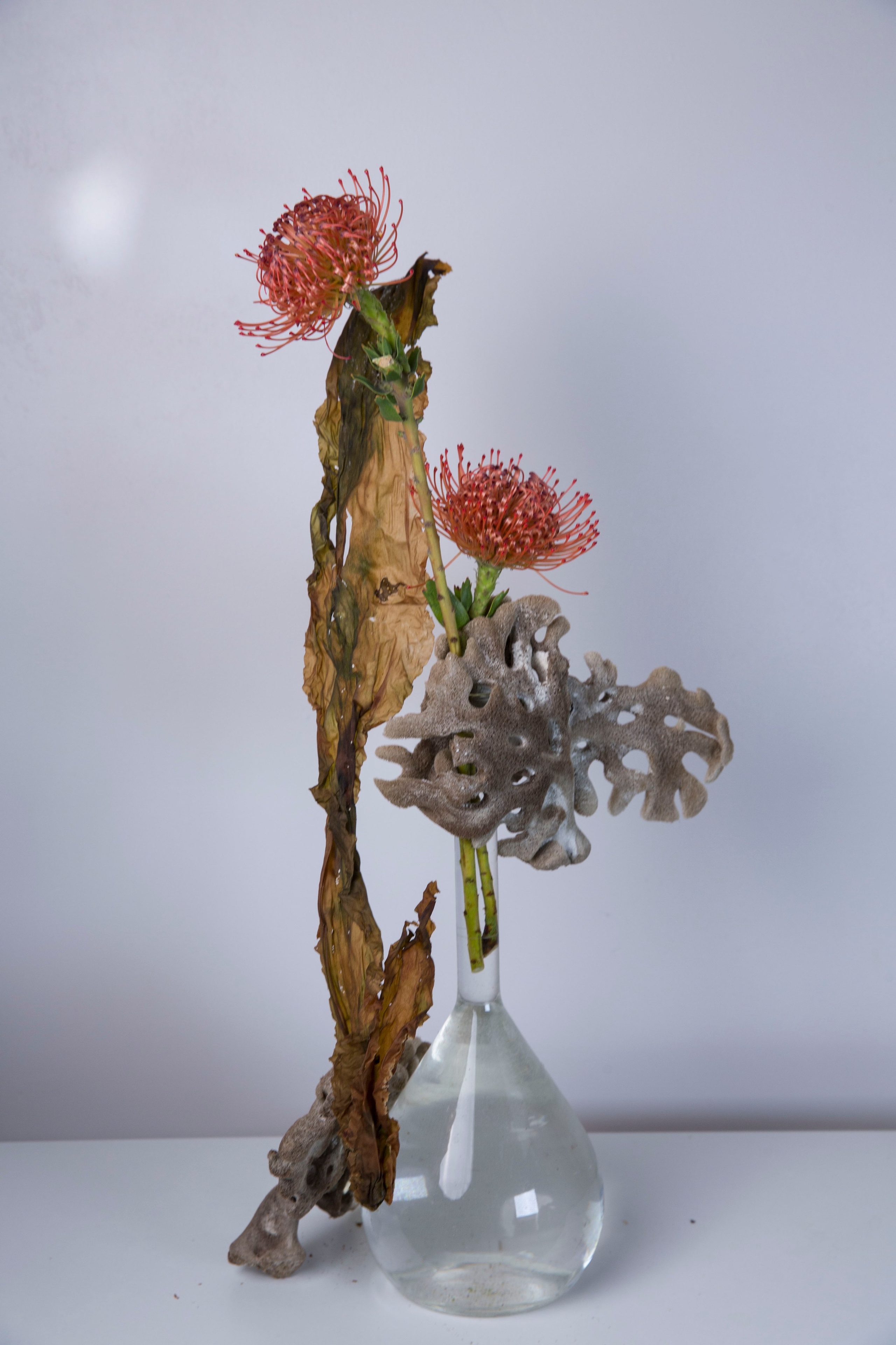 Икэбана Барне. Фотограф Анна Барне