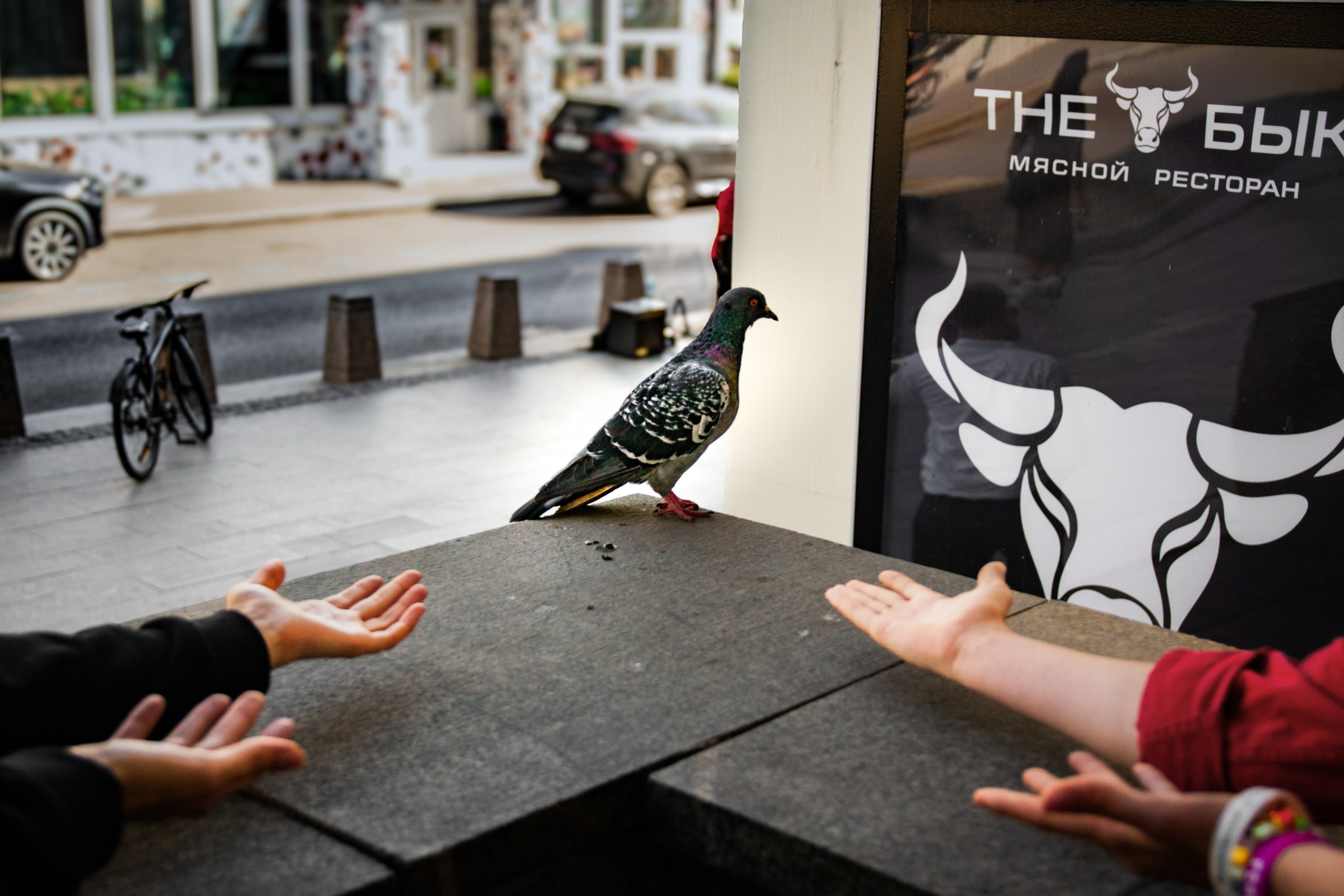 МЕРОПРИЯТИЯ. Фотограф в Москве — Олег Штыканов