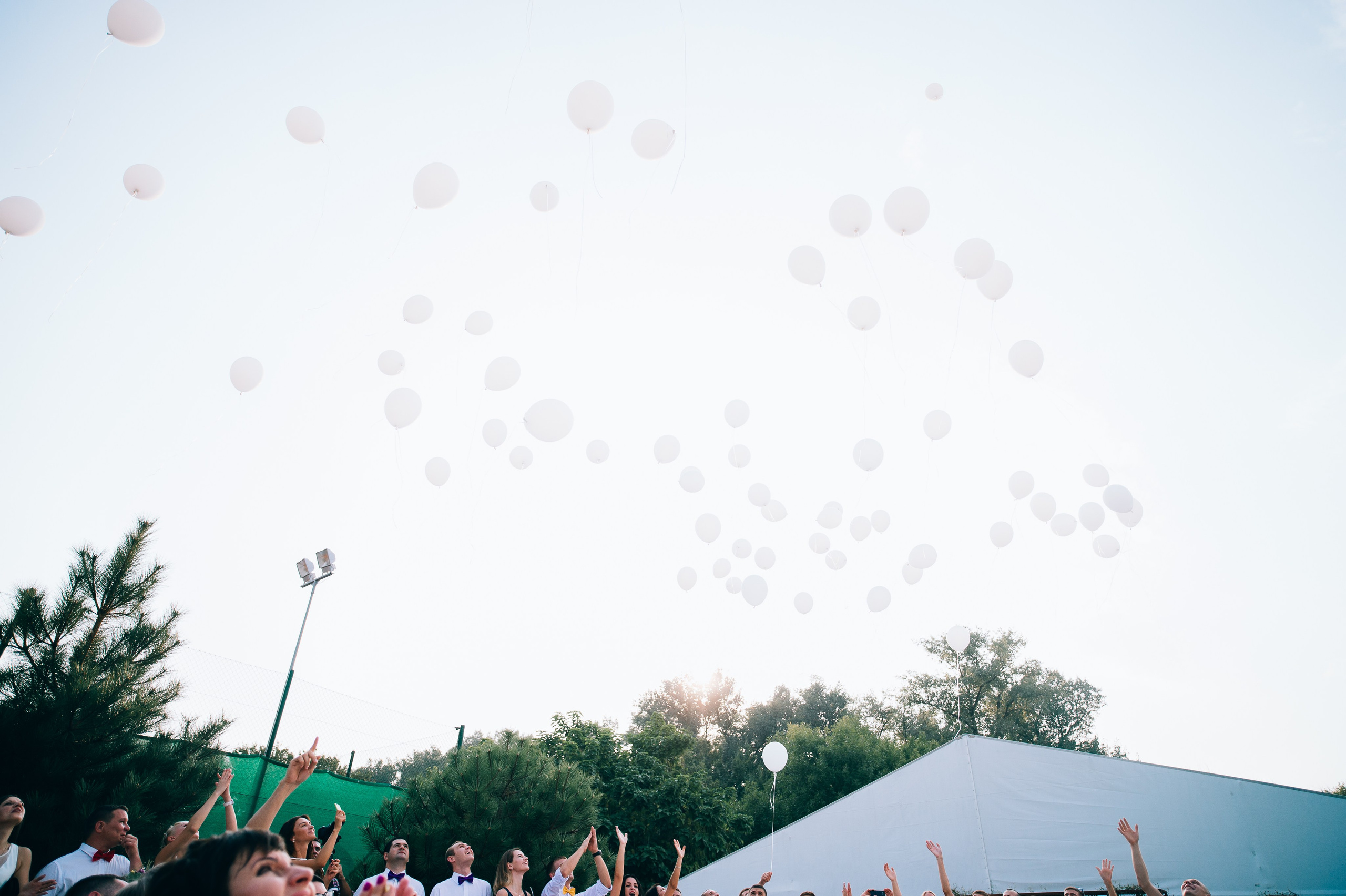 Митя и Юля. Свадебный фотограф в Ростове-на-Дону Владимир Пешков