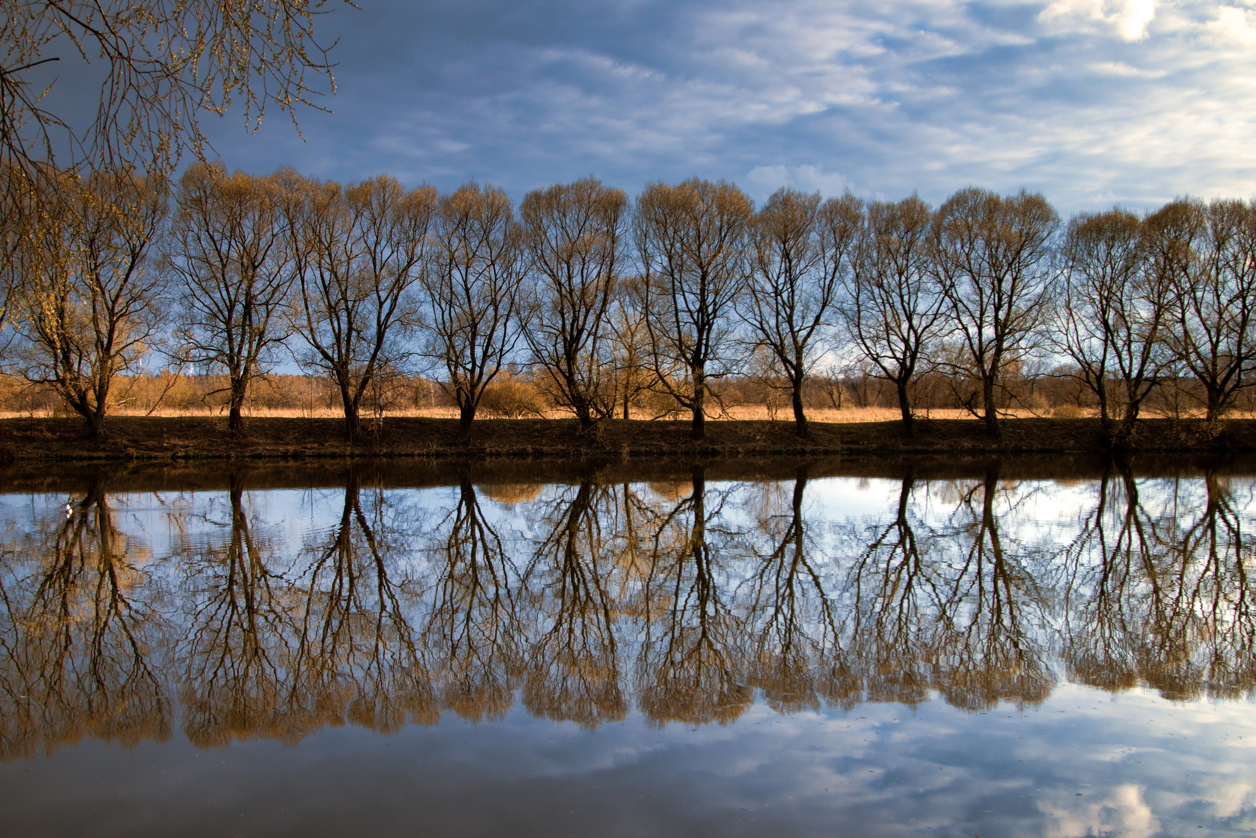 Фото. Фотограф Лагутин Анатолий