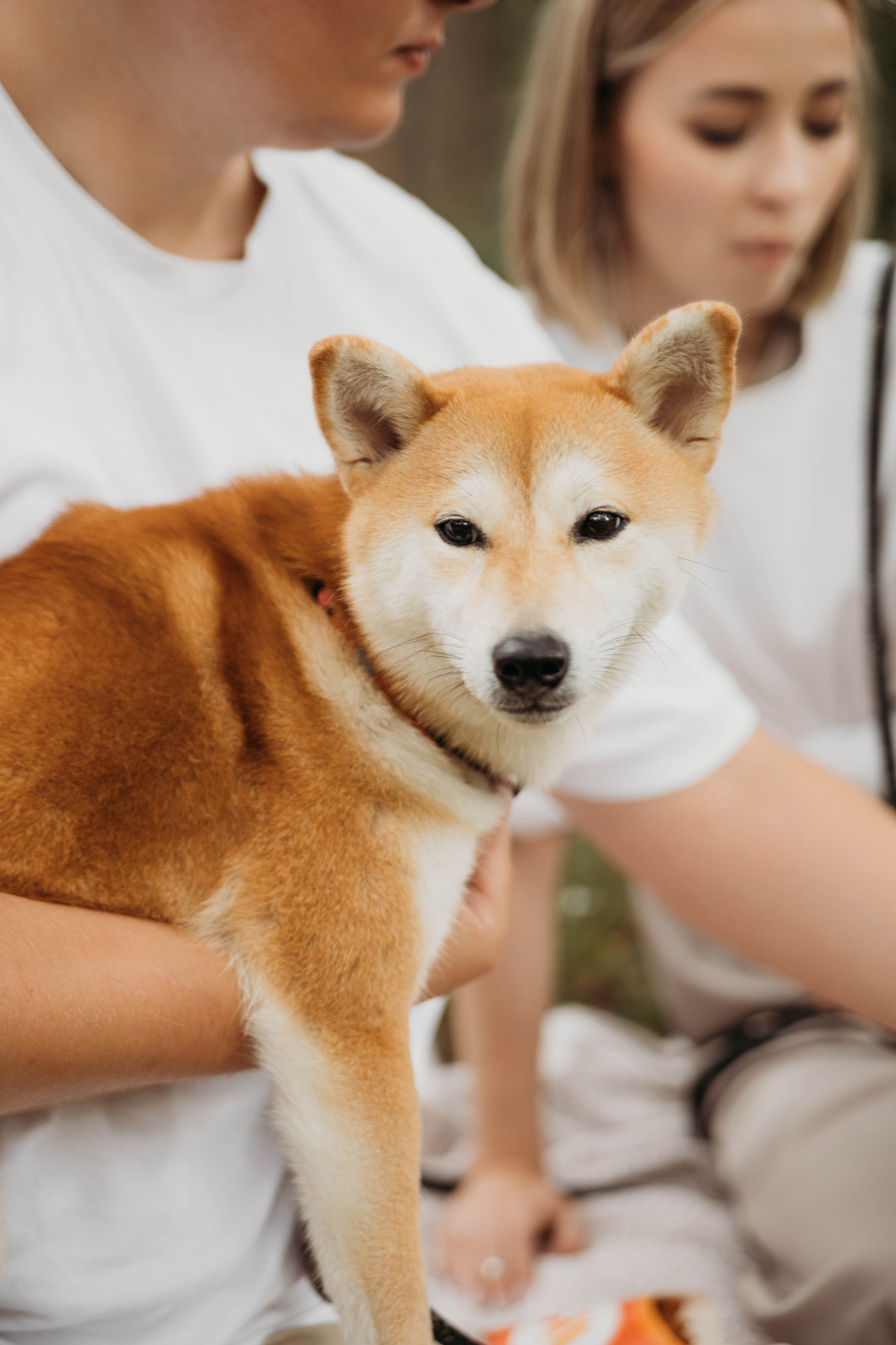 Семейные фотосессии. Фотограф в городе Лыткарино Волкова Ольга