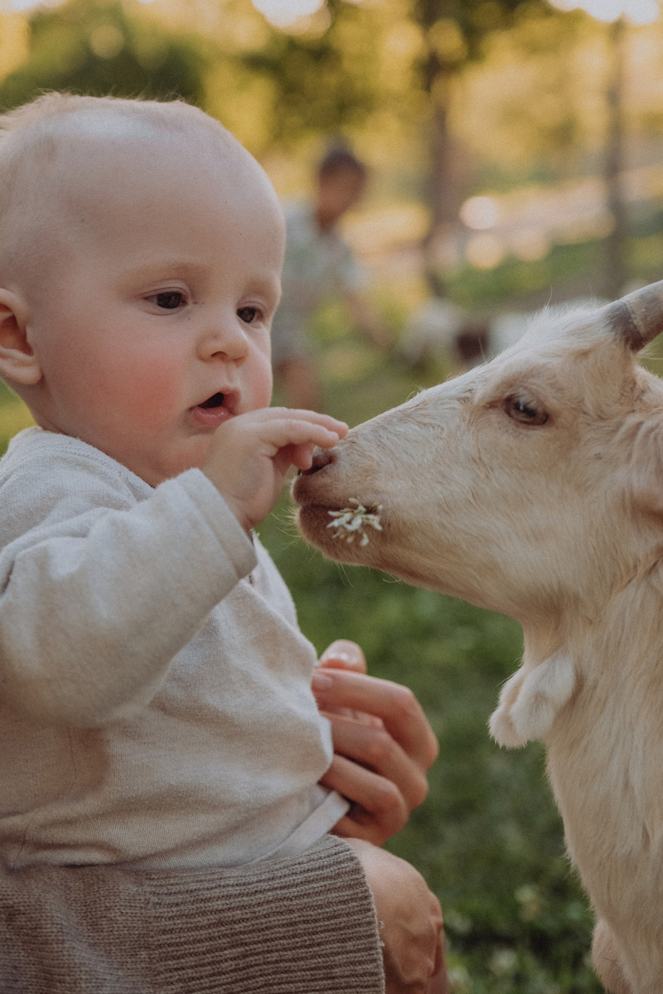 Семья Силуана. Семейный фотограф Москва