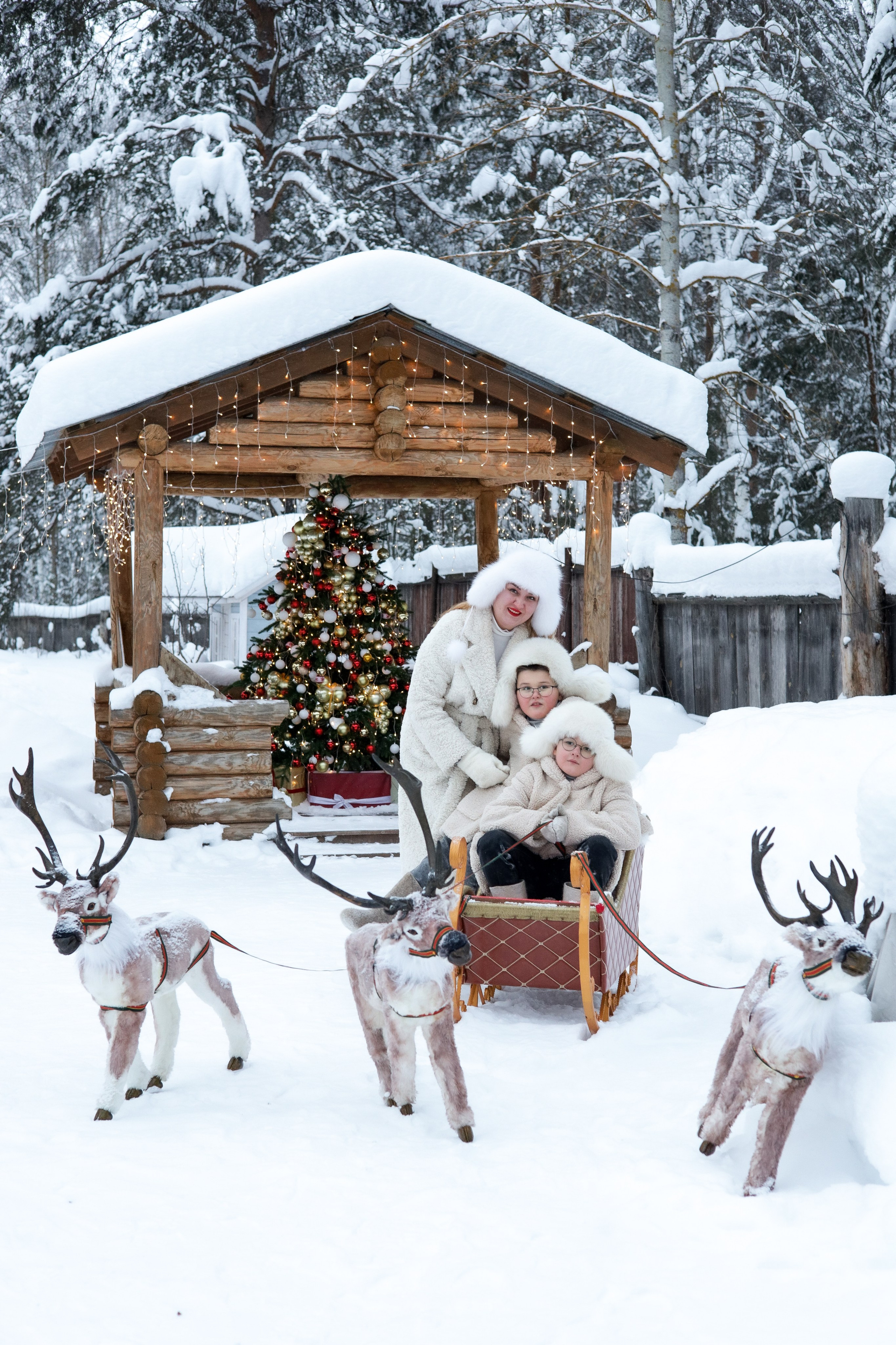 Зимний лес чудес. Ваш семейный фотограф