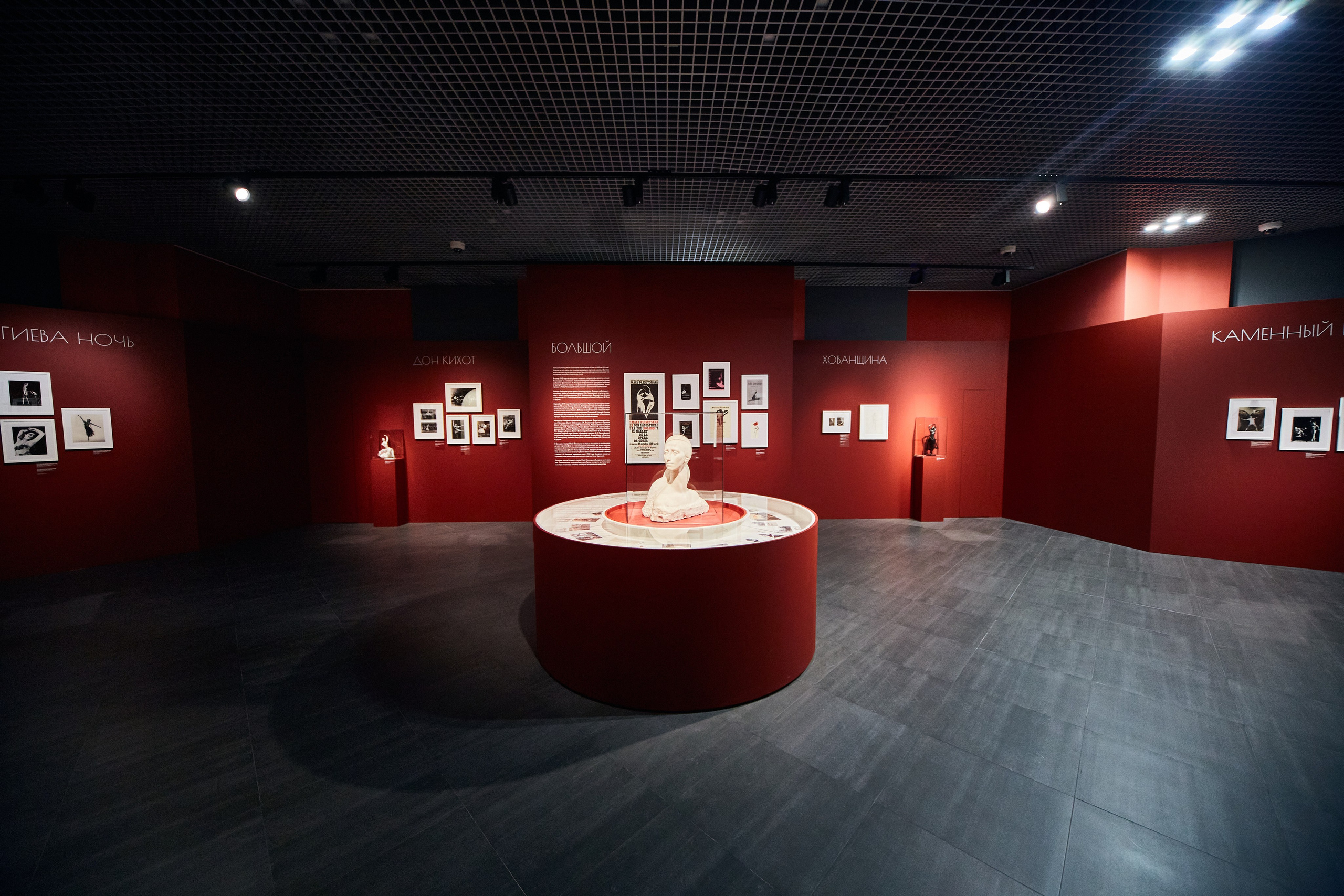 Выставка «Майя Плисецкая. Полюс магии». Даниил Гузиенко — репортажный фотограф в Туле