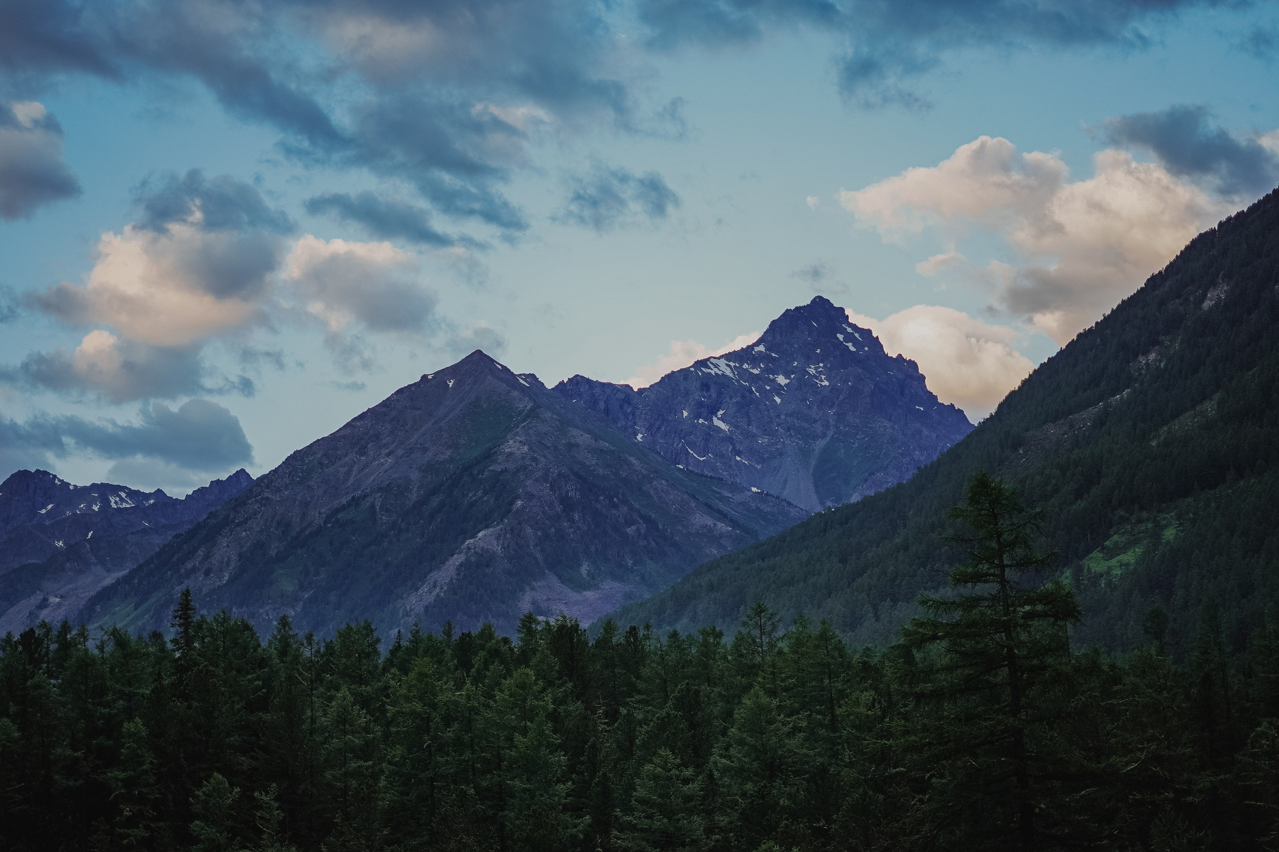 Алтай, поход к Белухе 2023. Фотограф Ольга Пучкова