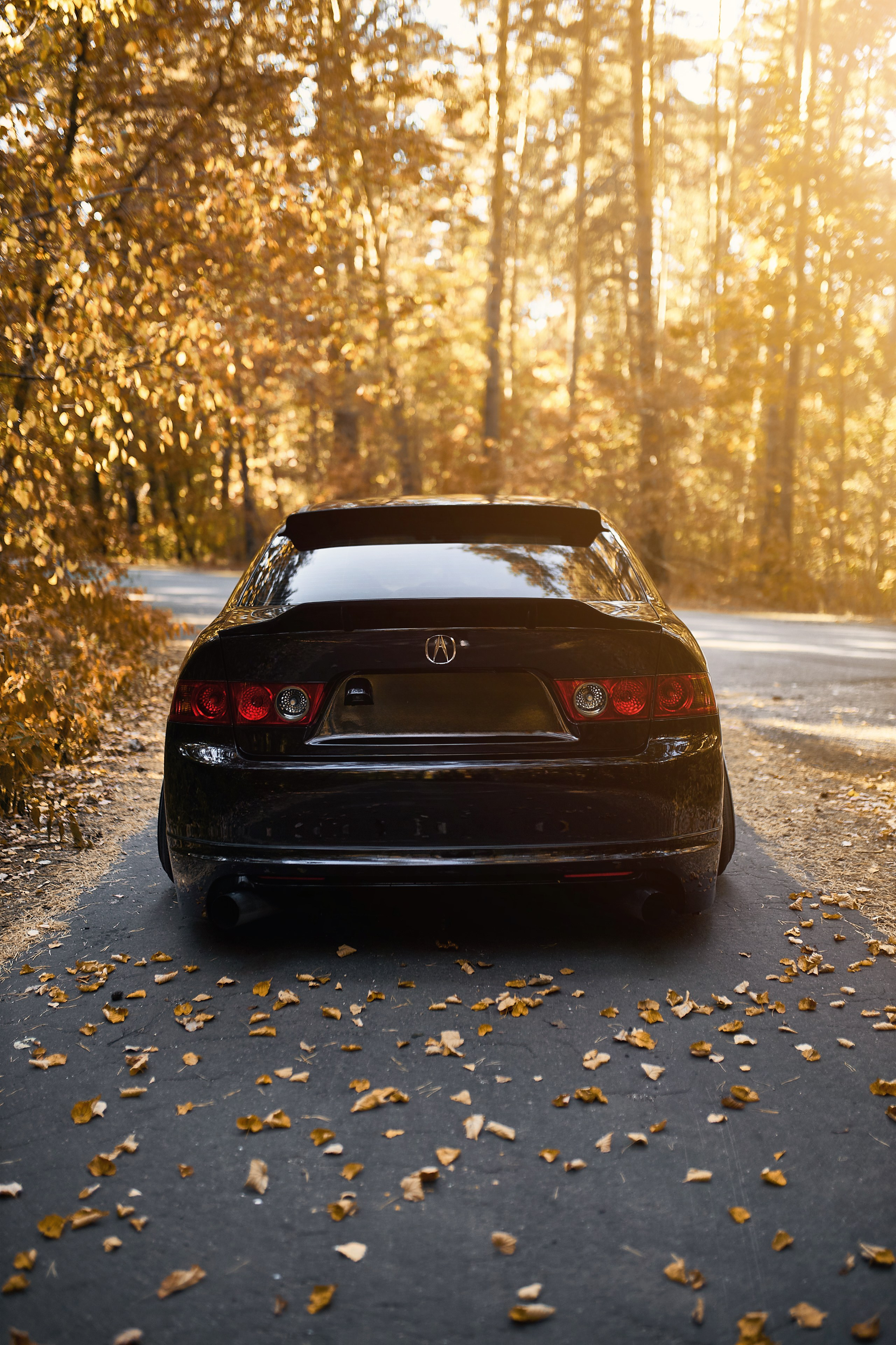 Honda Accord CL9. DKARPOCHEVA PHOTOGRAPHY