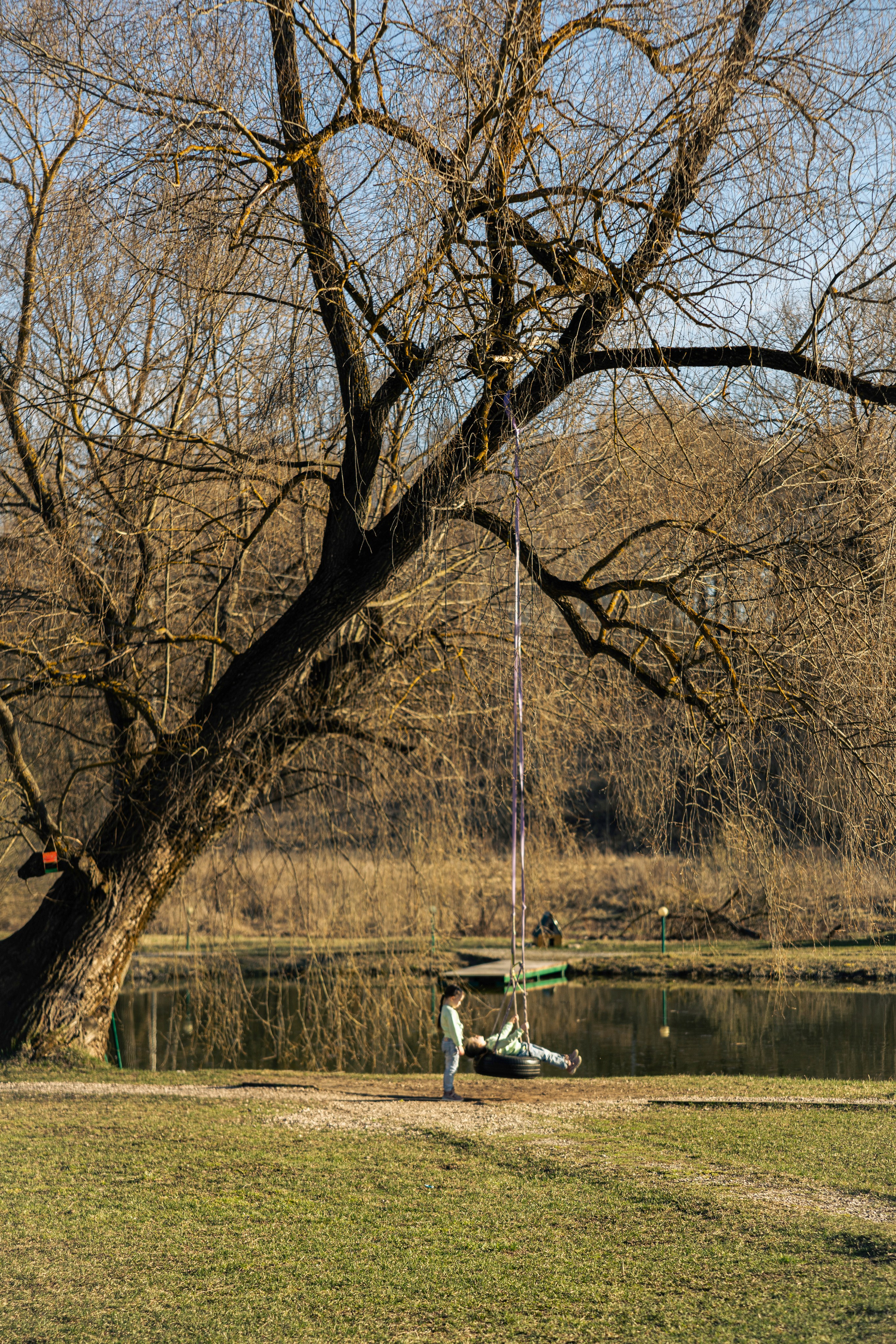 Май, Природа. Фотограф в Москве Алексей Вовк