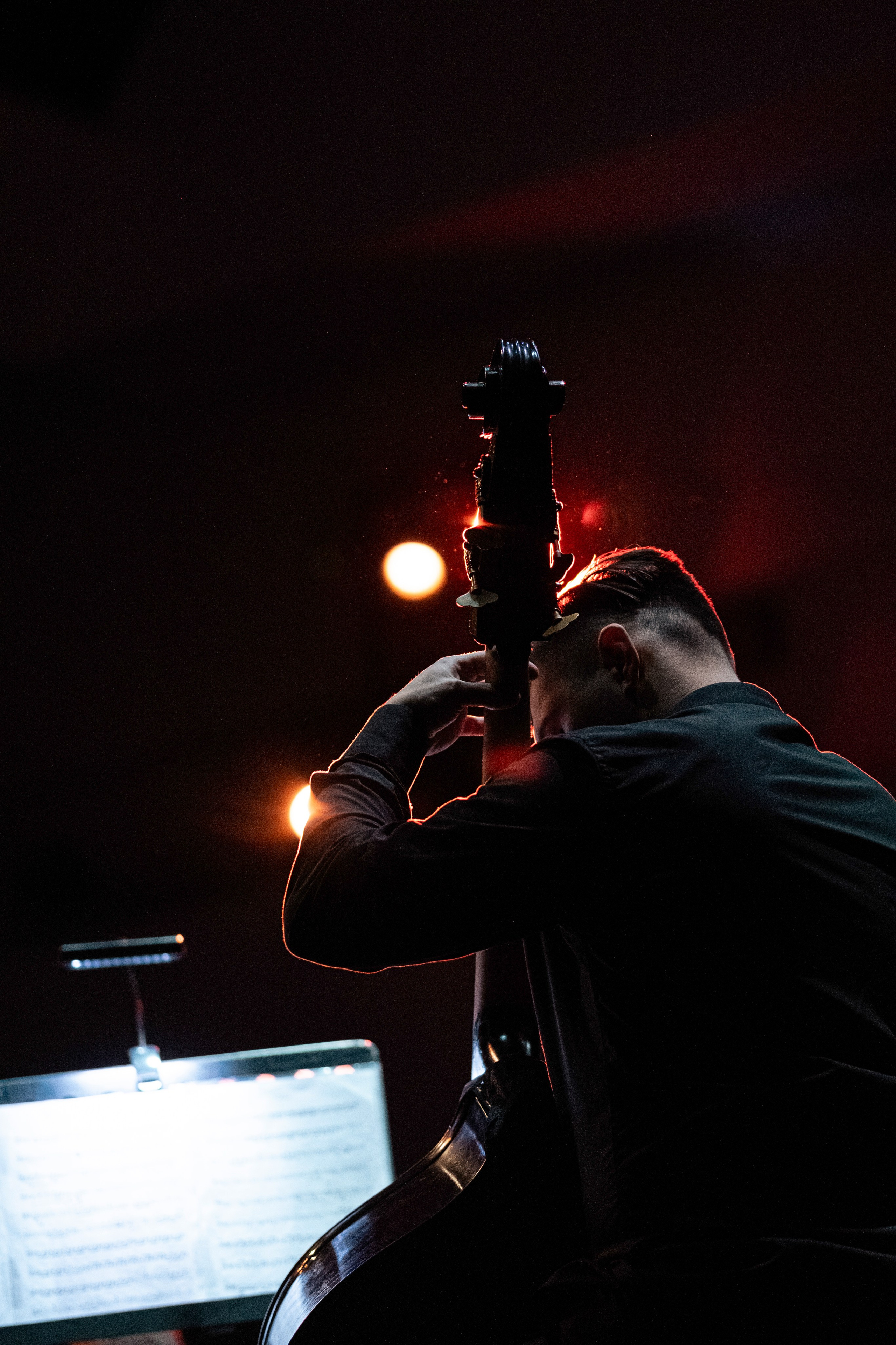 Metalliada (симфонический оркестр). Концертный фотограф в Москве Алексей Вовк