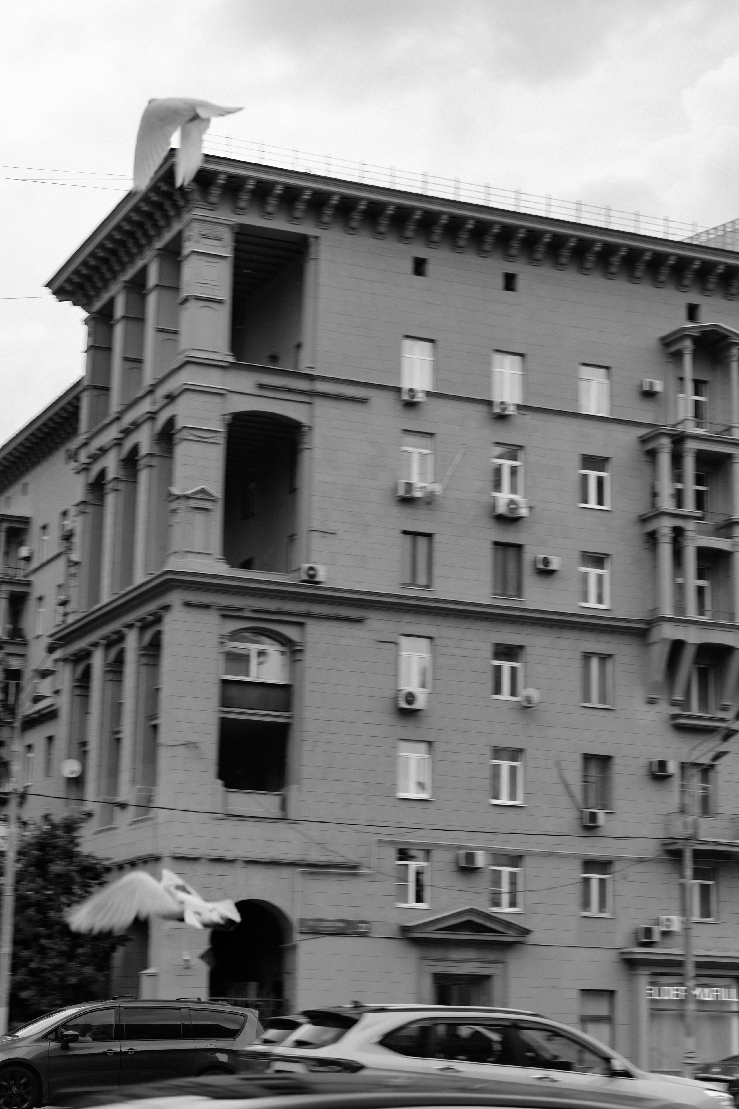 Ярослав & Надежда. Фотограф Москва Людмила Белова