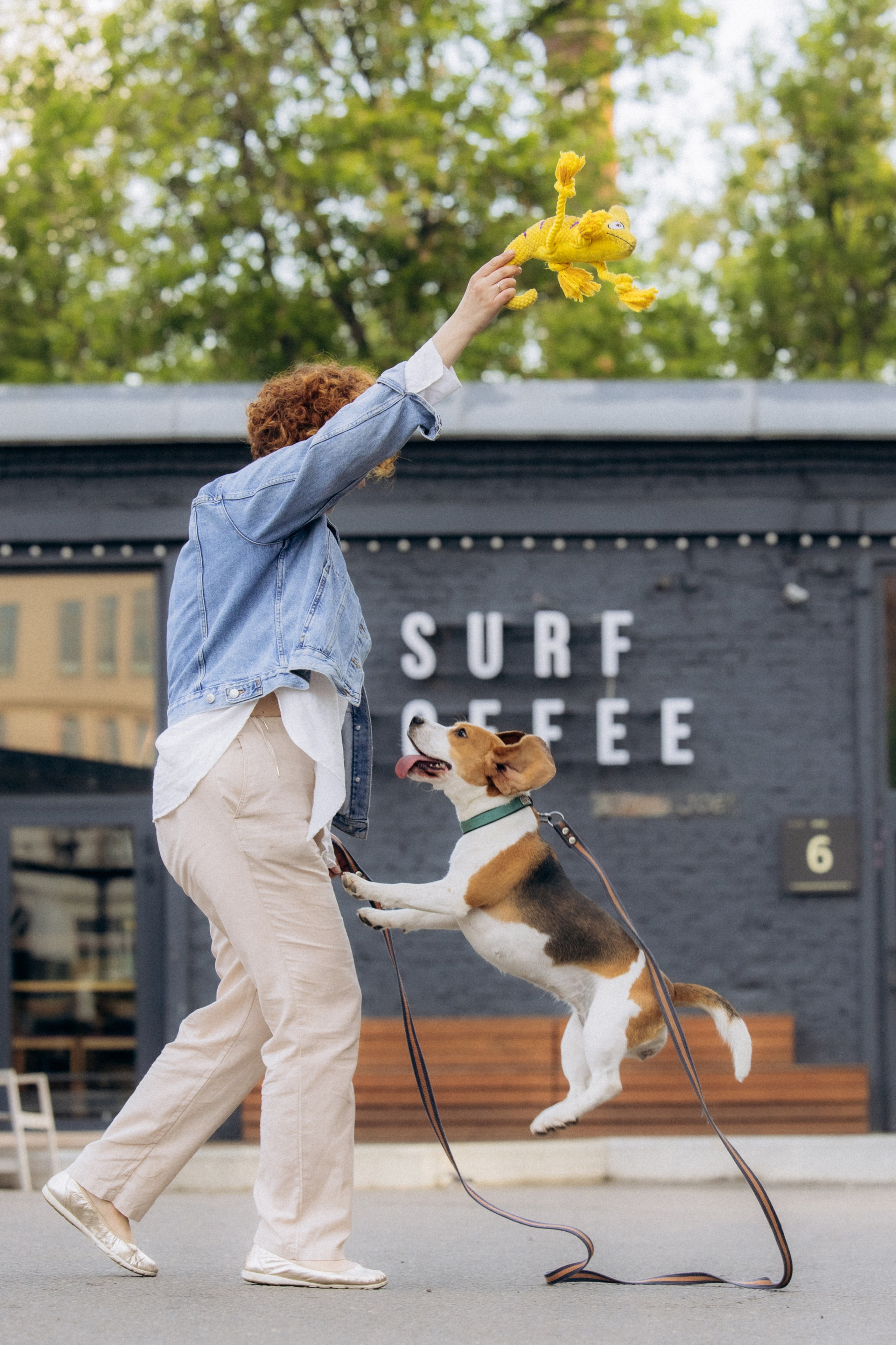 Анна и Рэна. Рассвет в Москве. Фотограф анималист в Казани Алина Сулейманова. Фотограф животных
