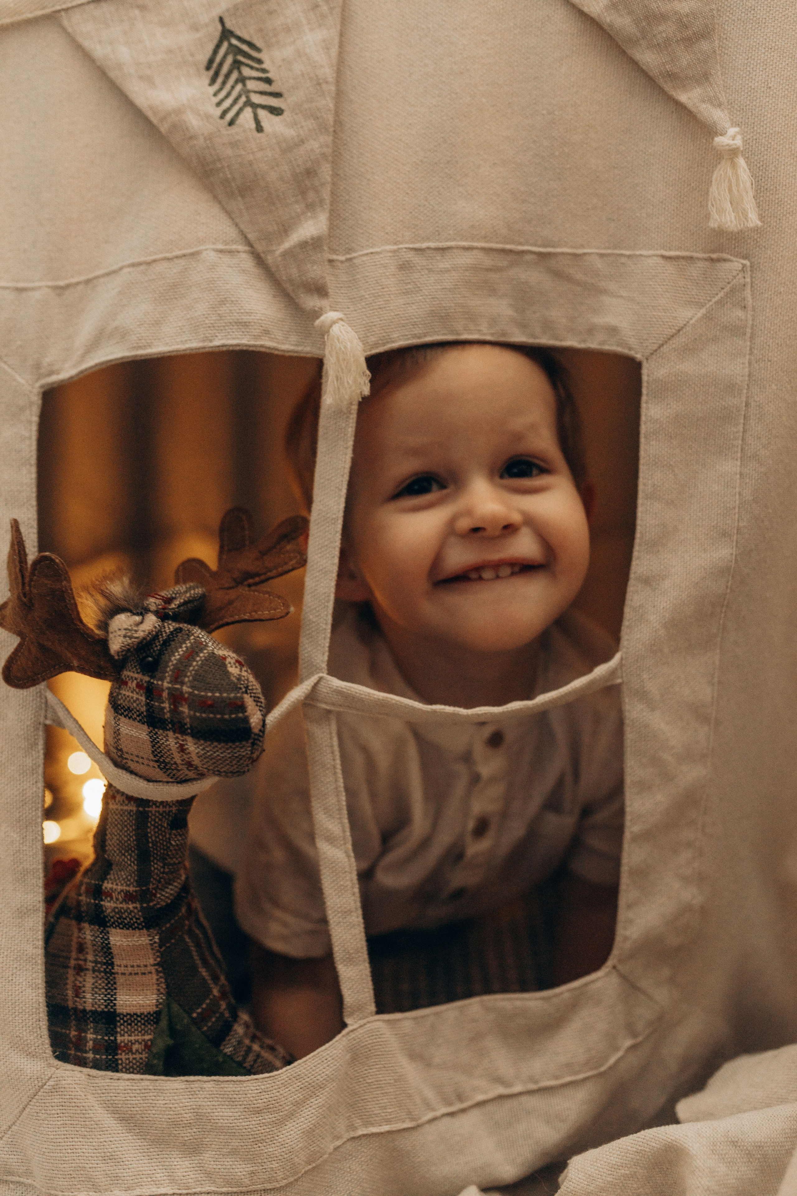 Семейная-новогодняя. Фотограф в Ставрополе Svetlana Matveeva