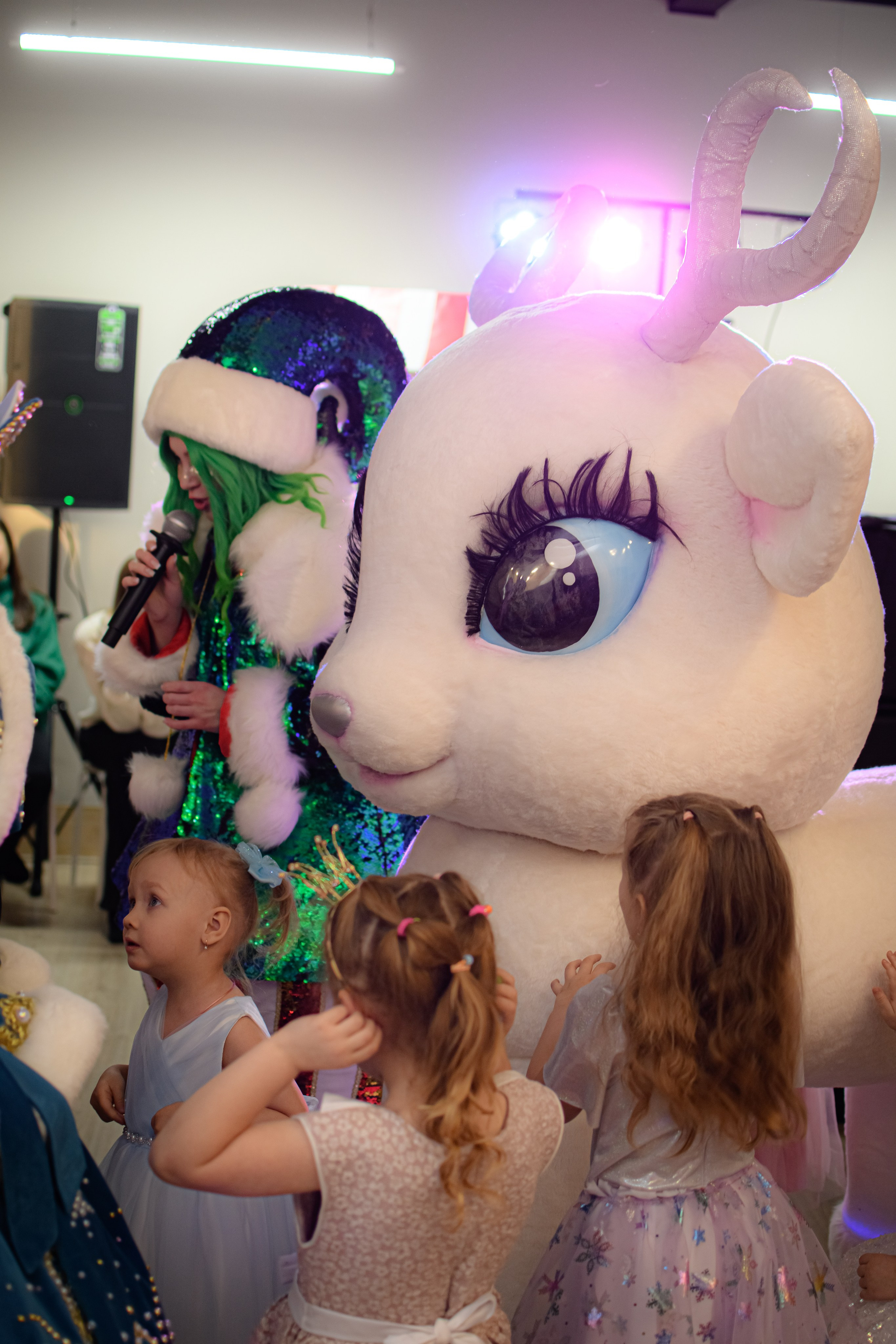 HAPPY NEW YEAR. Photokarish