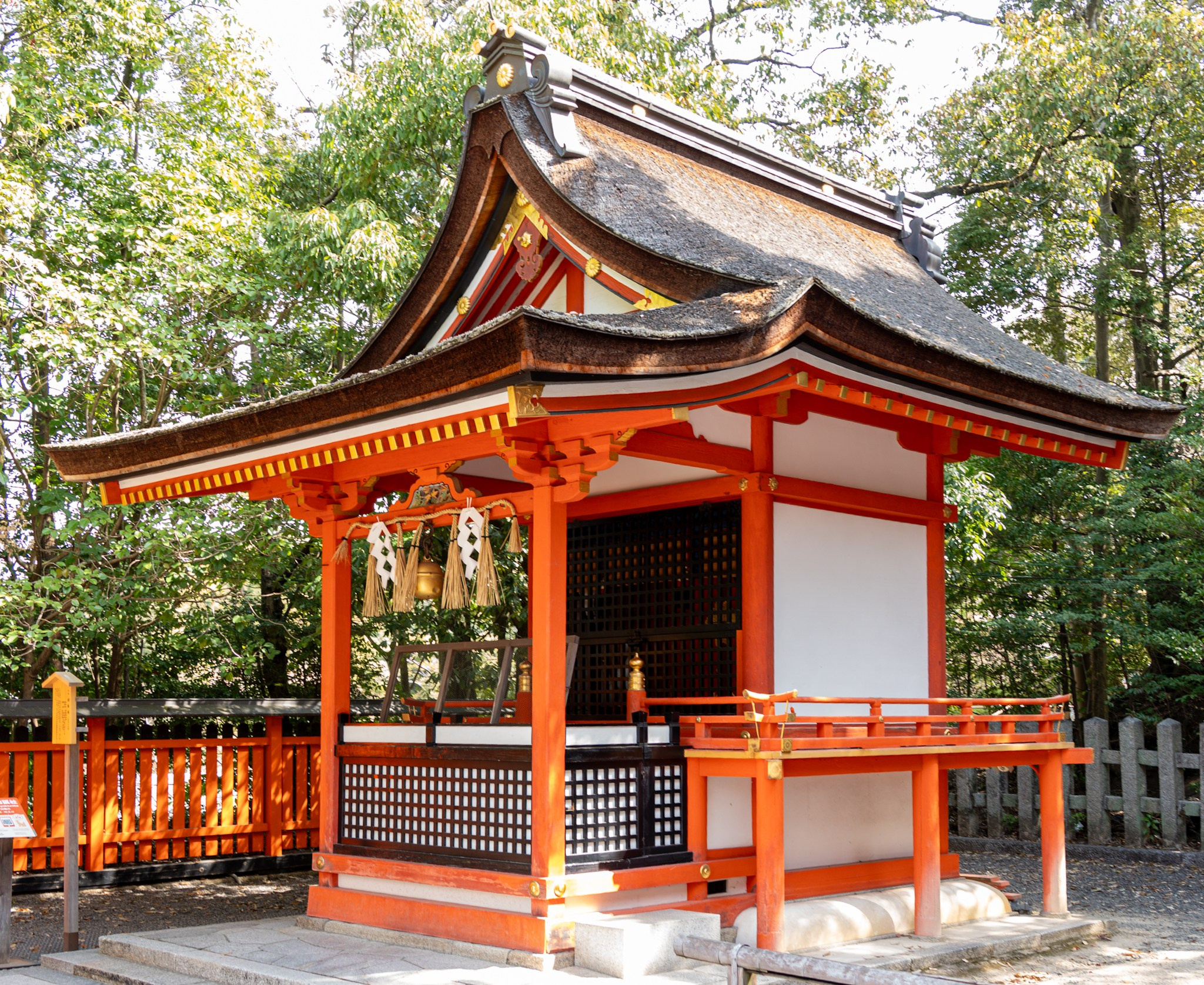 Япония, сакура. Творческие сьемки