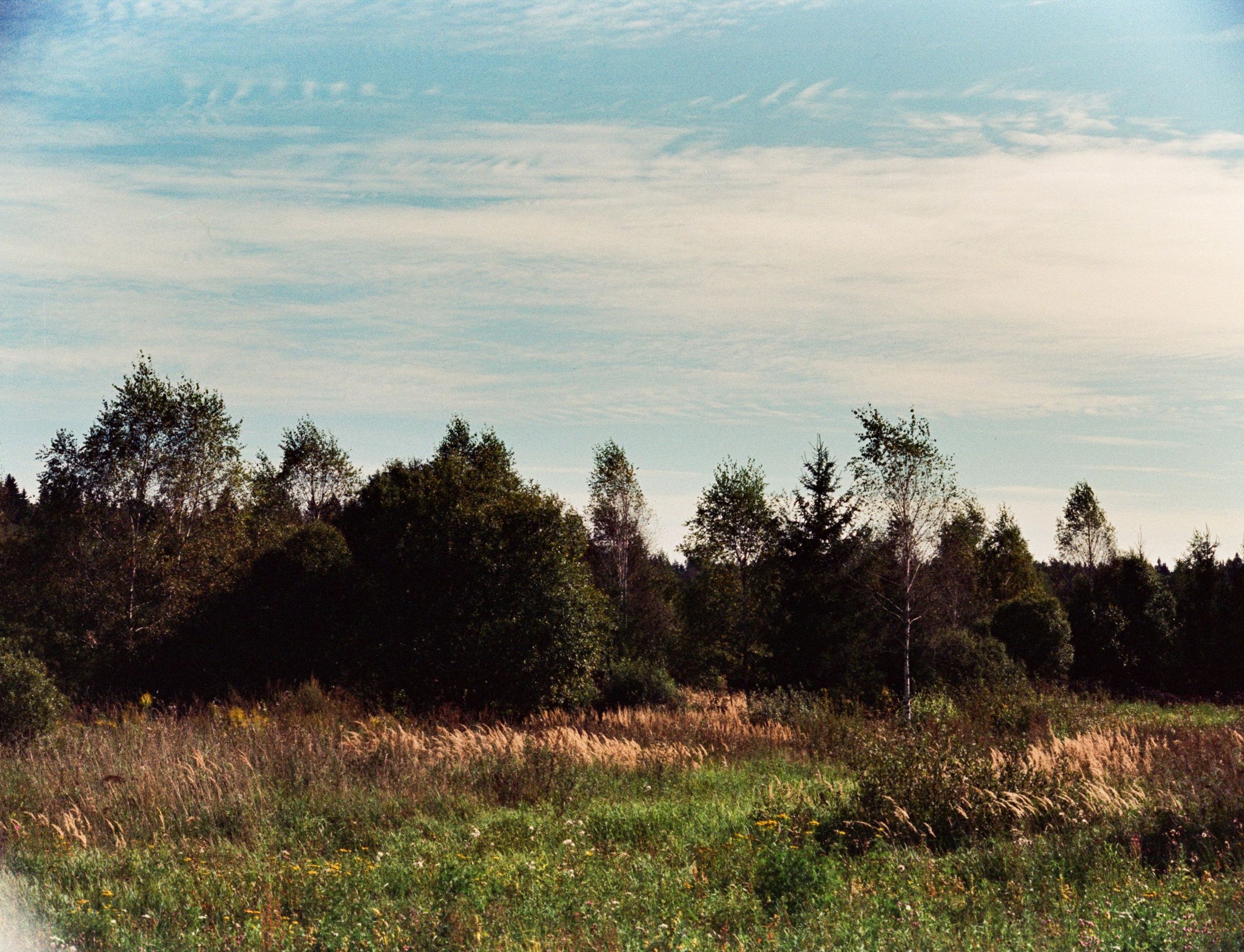 Nikon F100 примеры фотографий