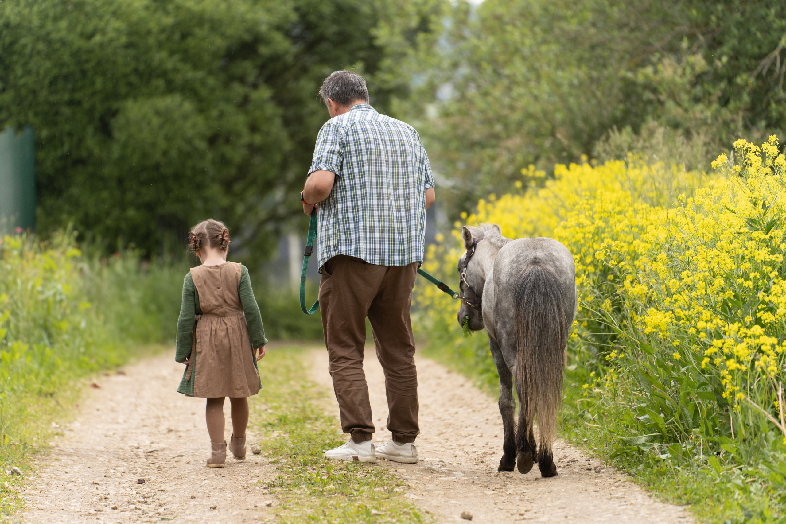 Семейные съемки. Семейный фотограф Анастасия Симакова, г. Санкт-Петербург