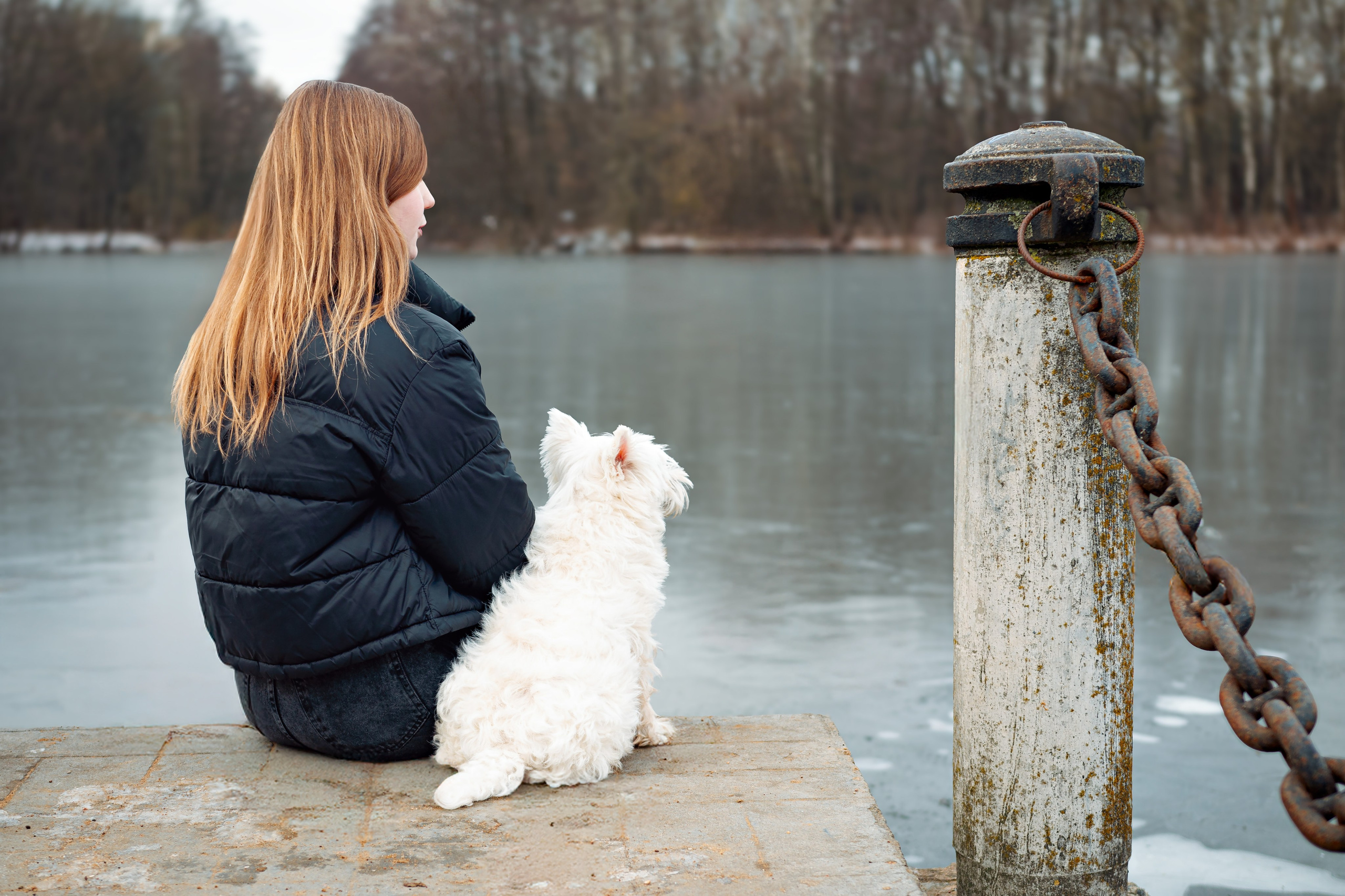 Фотосессия с собакой в парке зимой  Минск