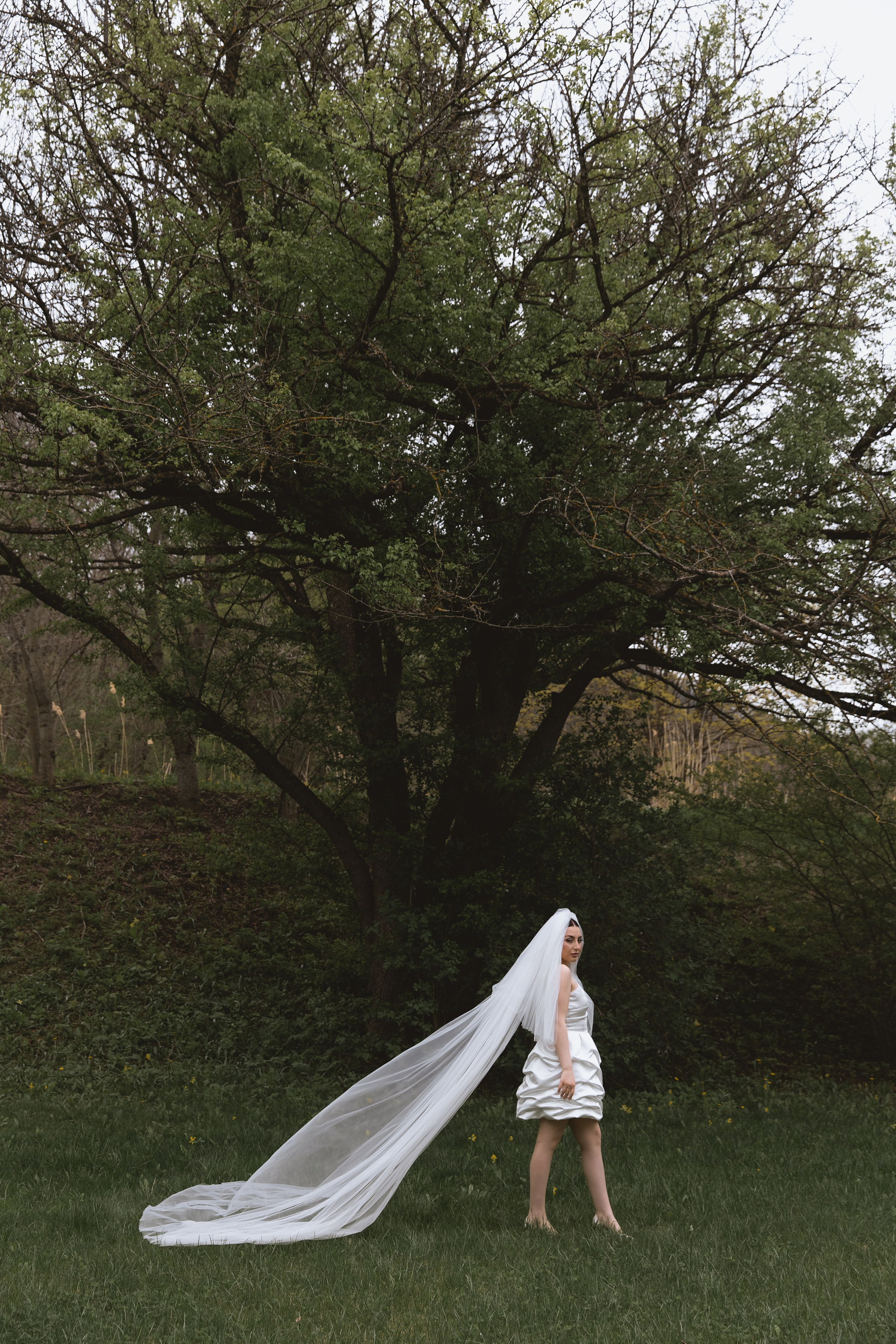 С&А. Свадебный фотограф