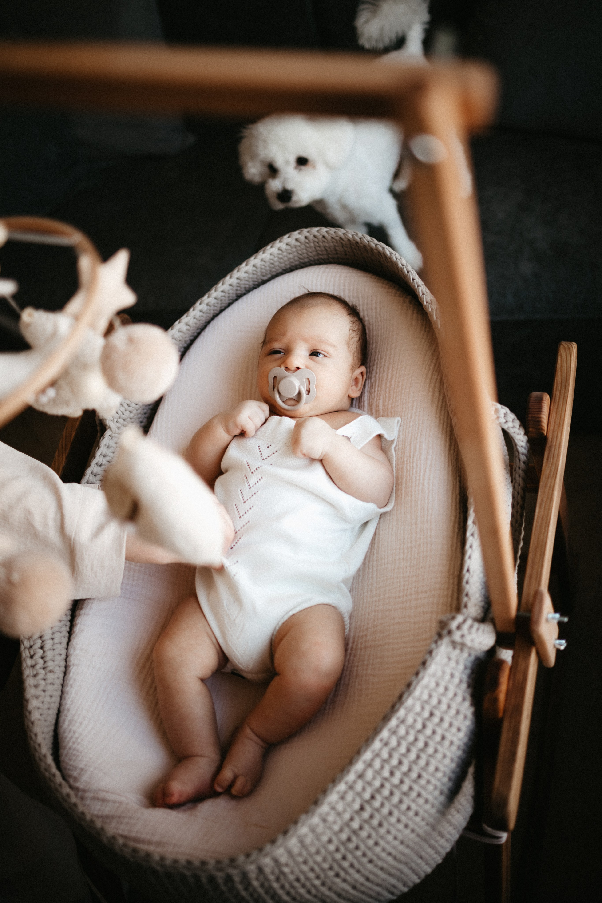 Дамир 1,5 месяца. Евгения Пелипас