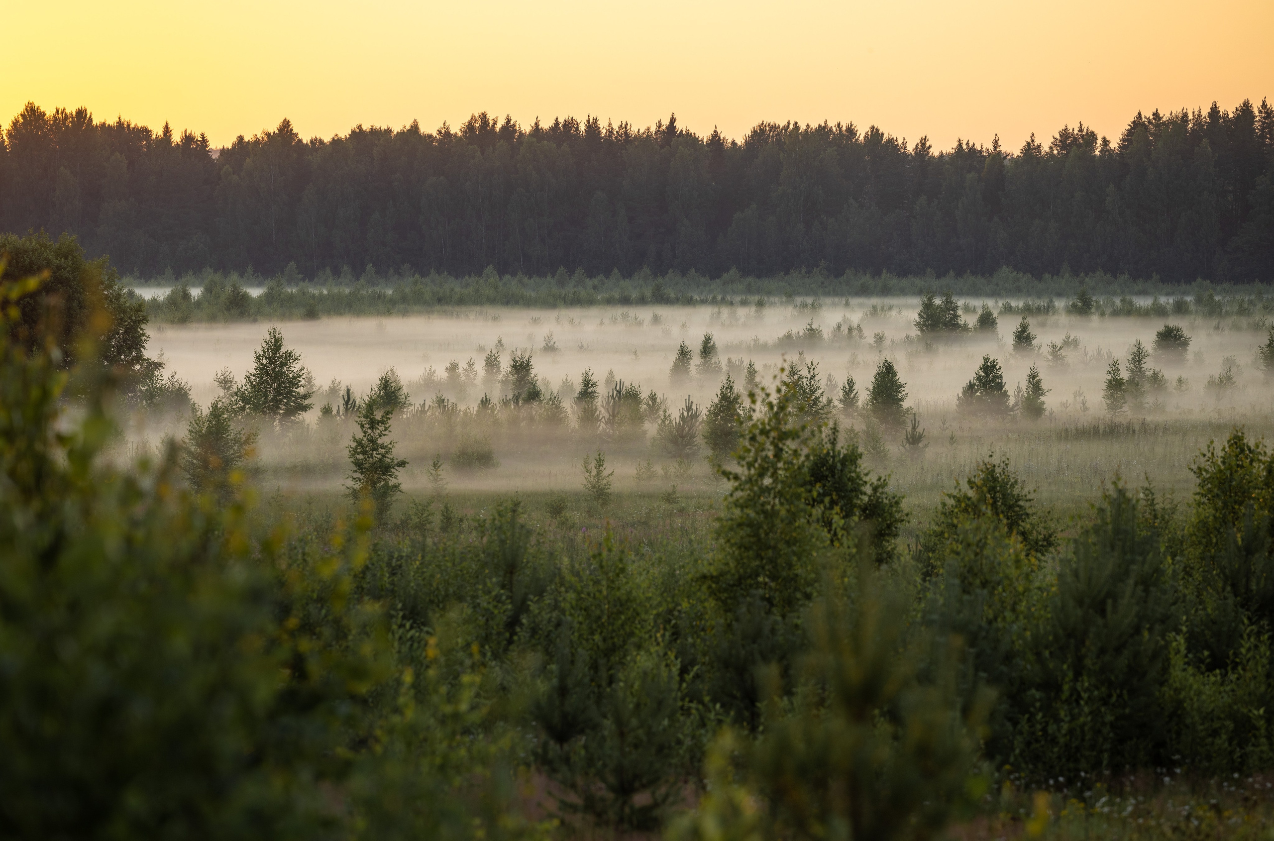 Природные пейзажи. Наталия Клевинскас портретный фотограф в Костроме
