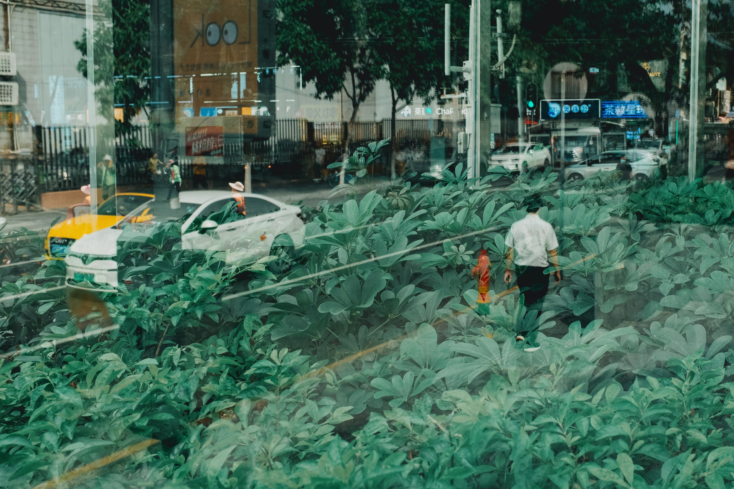 Стрит. Фотограф Минск