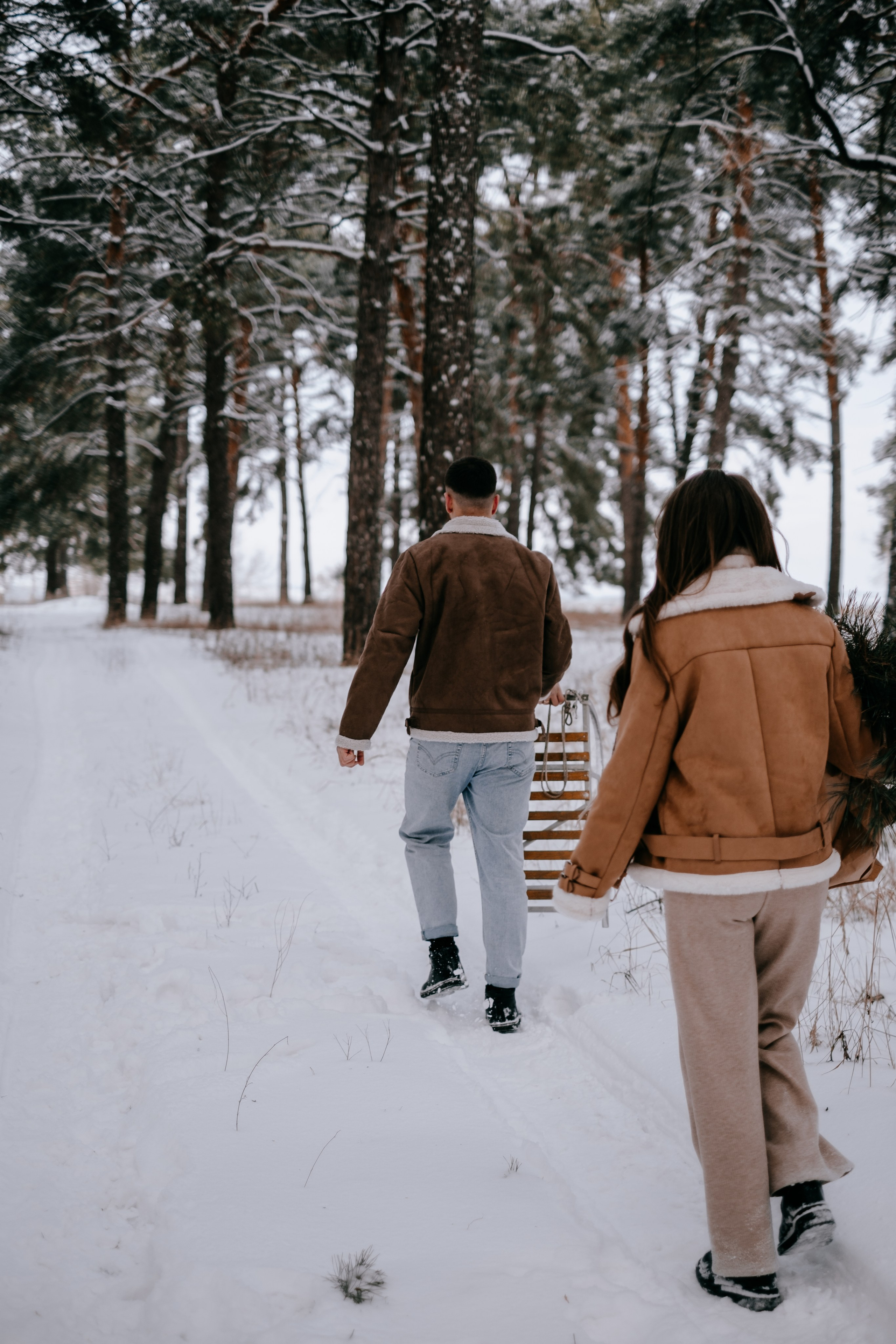 Звенит январская вьюга!. Photographer Victoria Slavnova