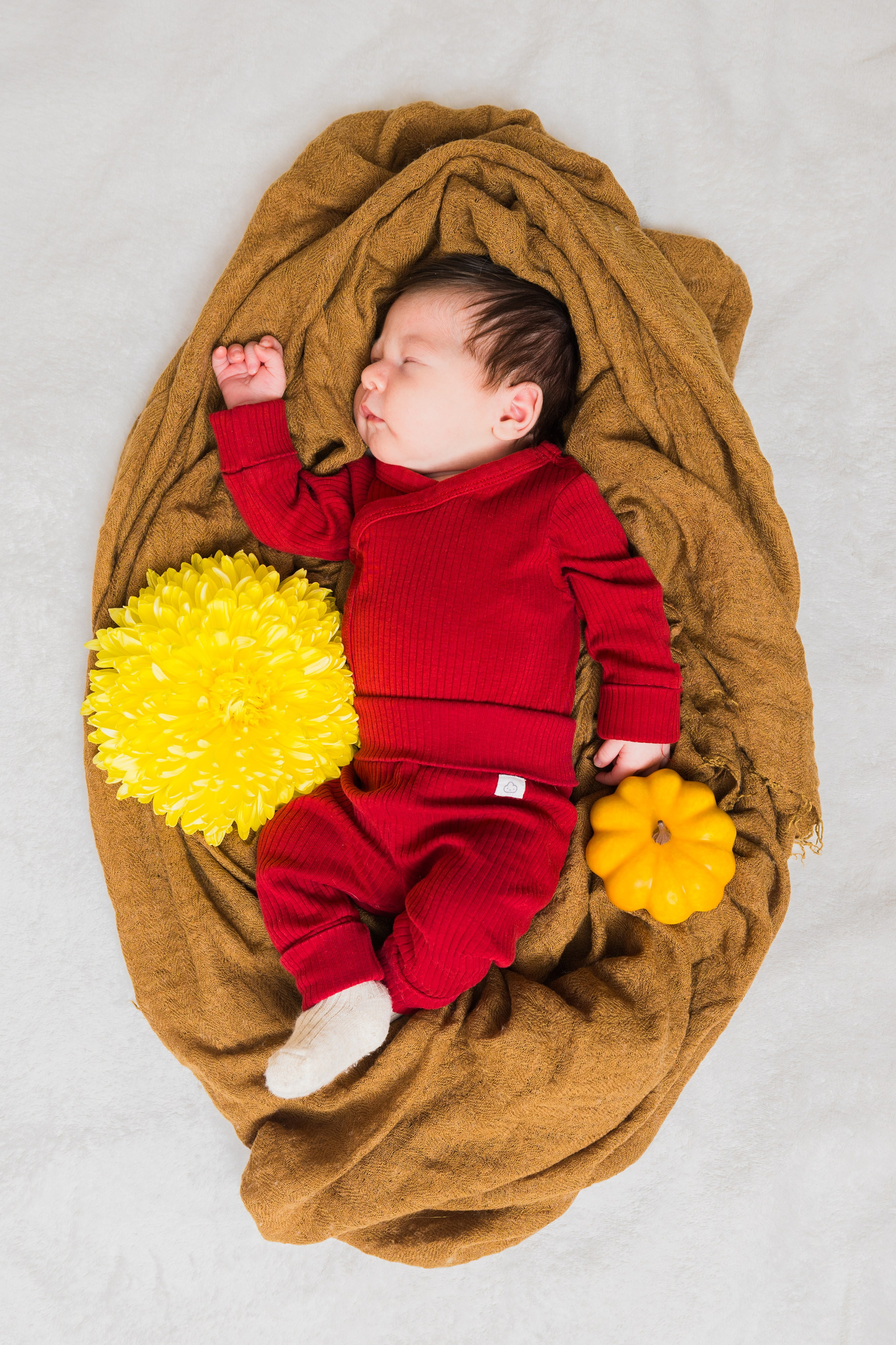 Newborn. Photomantis