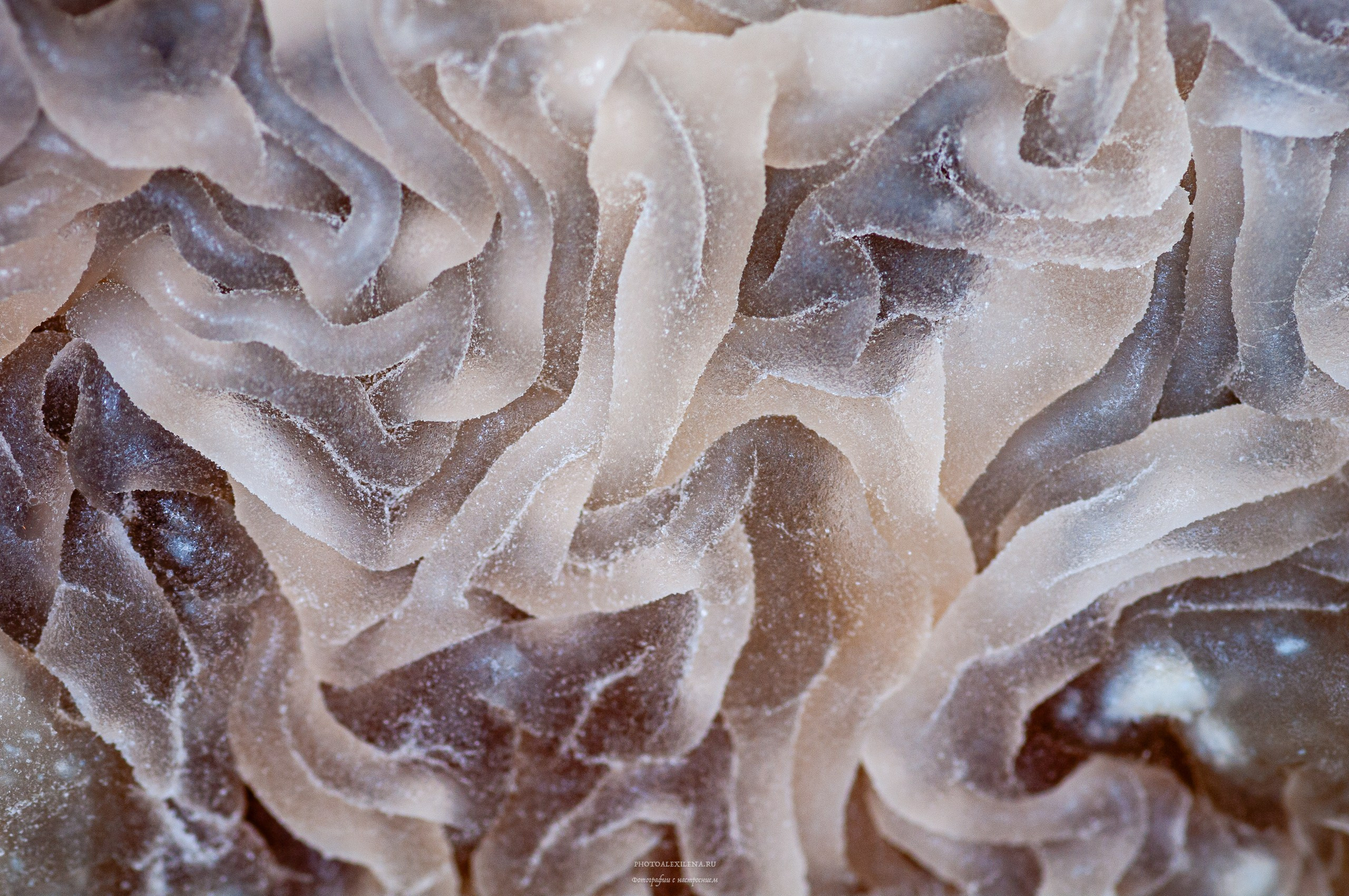 Осязаемая красота. Авторские стильные фотокартины