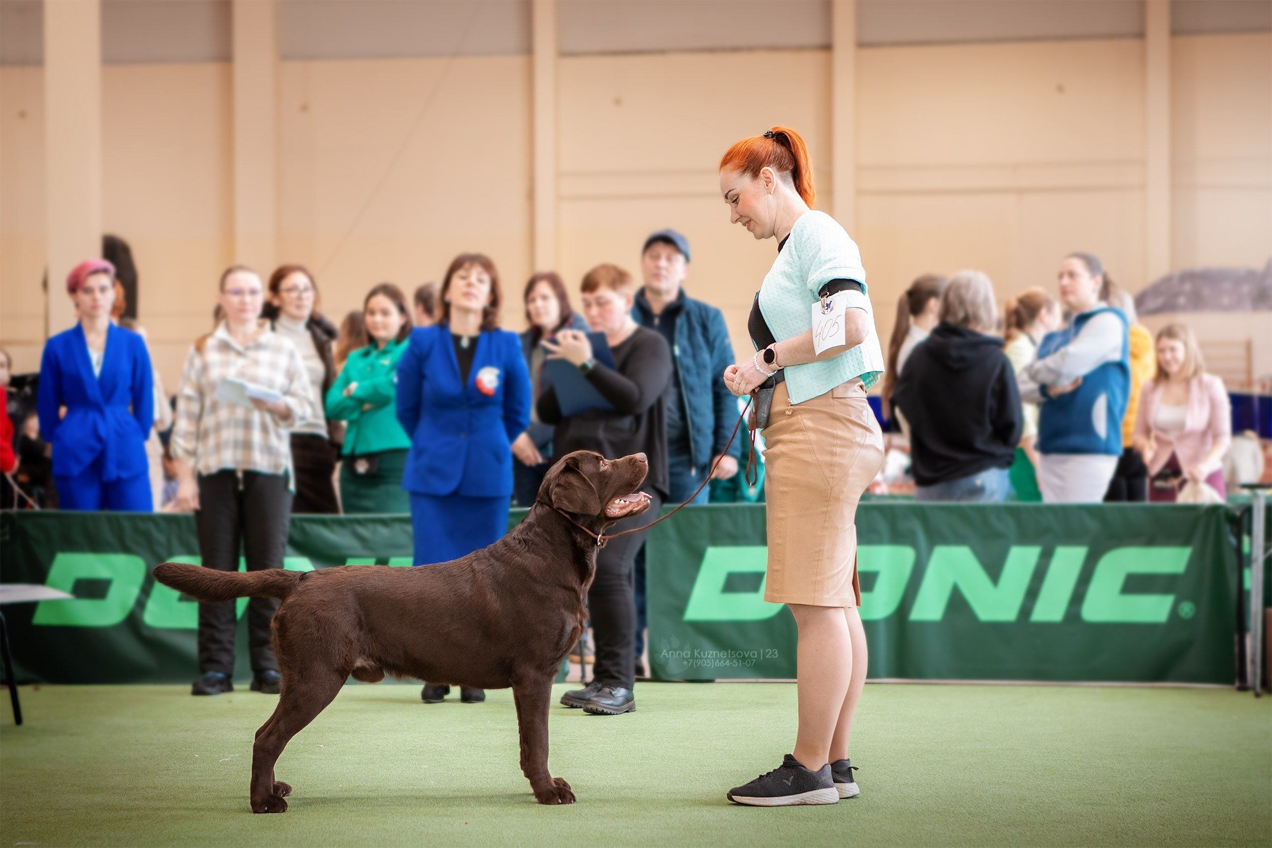 В ринге. Фотограф анималист Кузнецова Анна Нижний Новгород