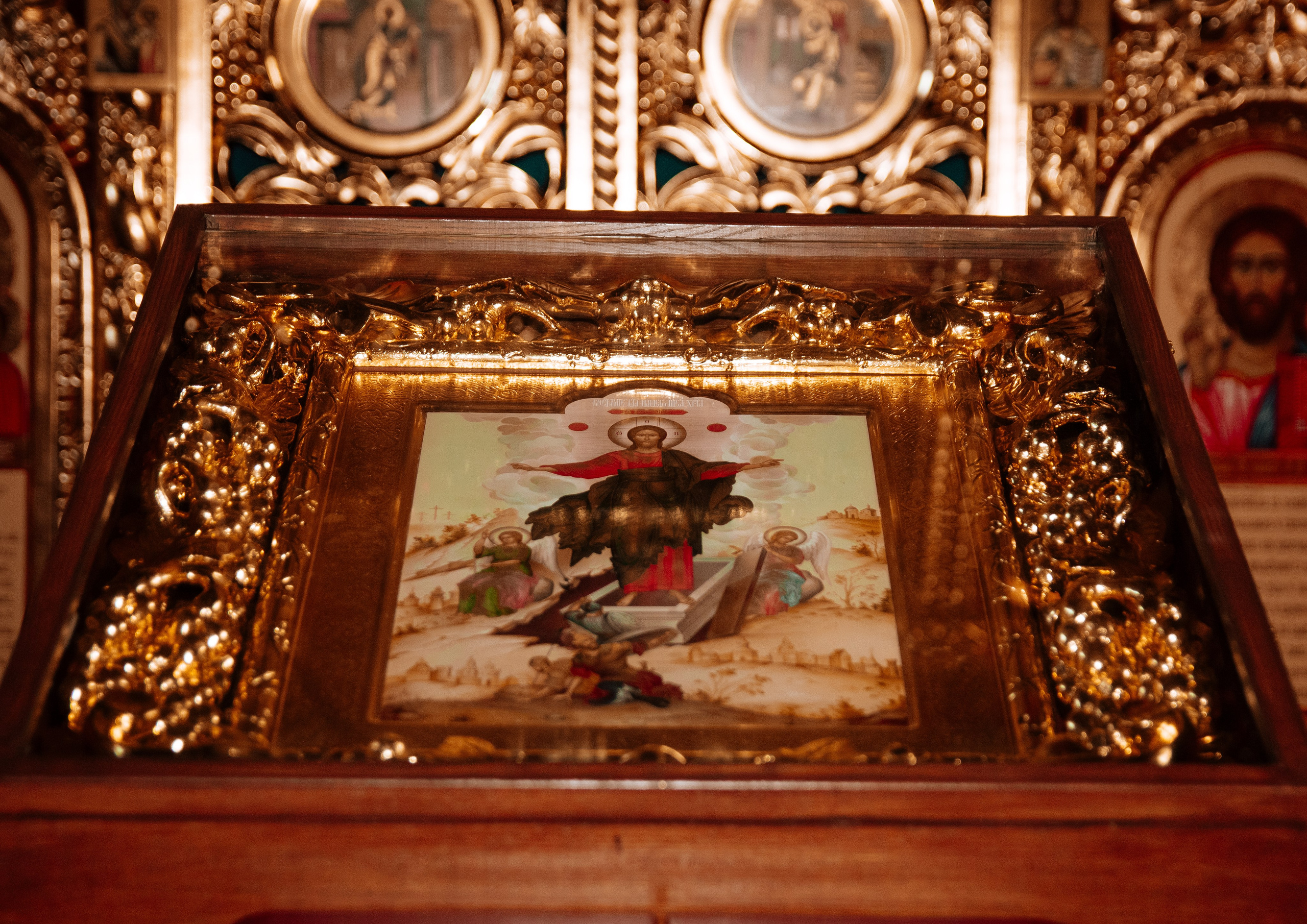 Фотографы. Организатор праздников. Ведущая Марина Гребенникова