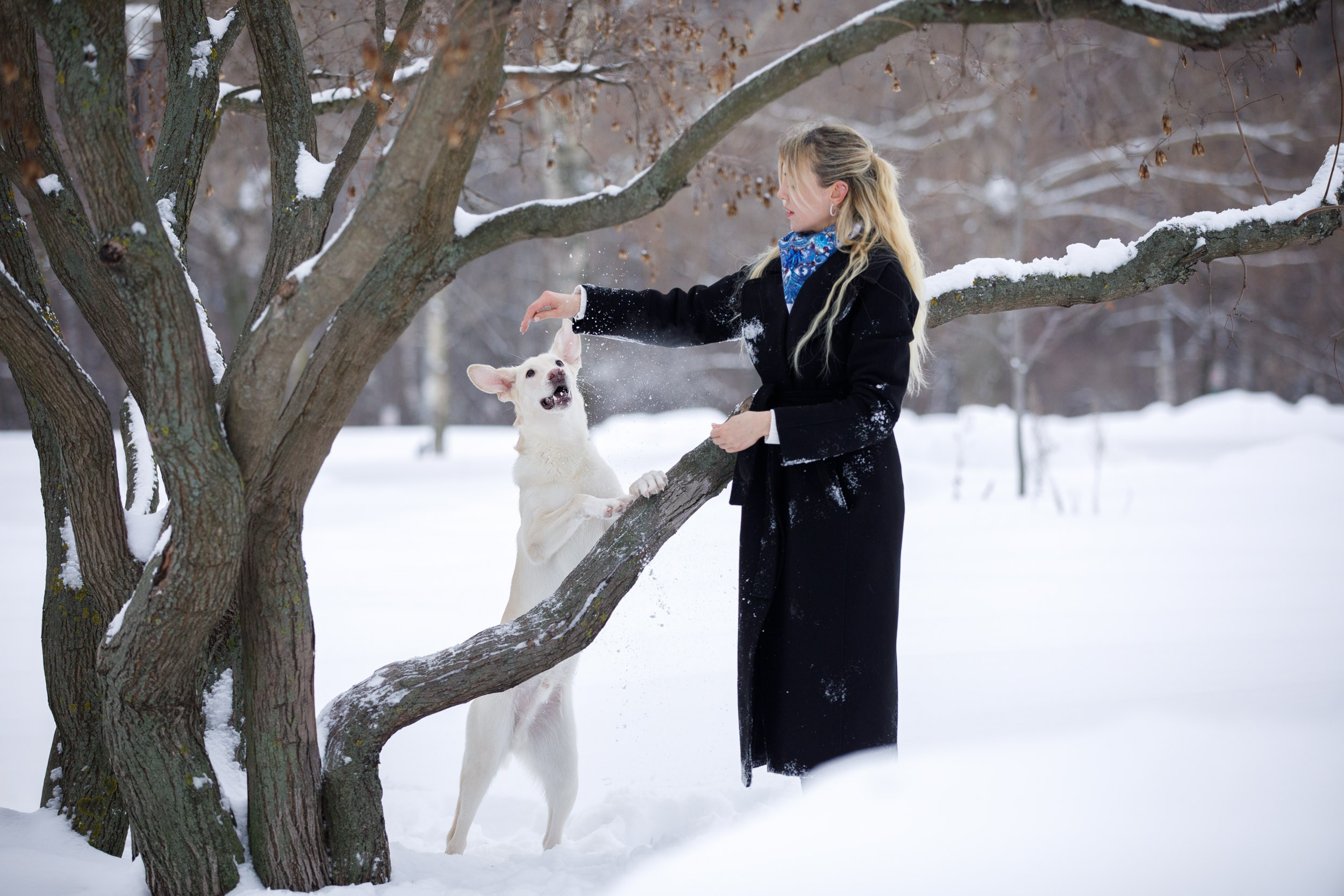 Фотопрогулка с Авророй и Амуром в Гольяново. Фотограф-анималист в Москве и Московской области Татьяна Фролова