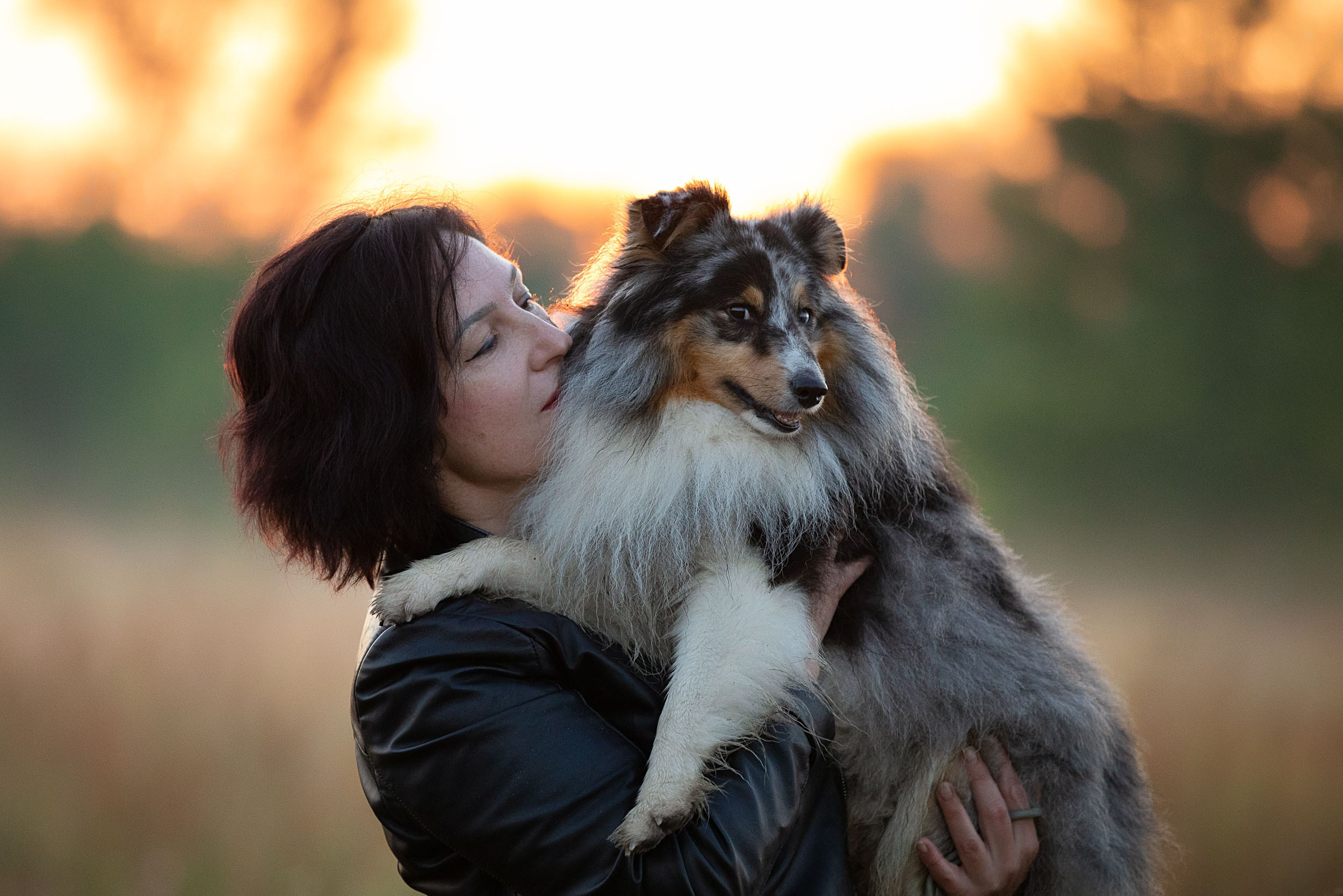 Съемка с шелти на рассвете на песчаном карьере. Фотограф-анималист в Москве и Московской области Татьяна Фролова