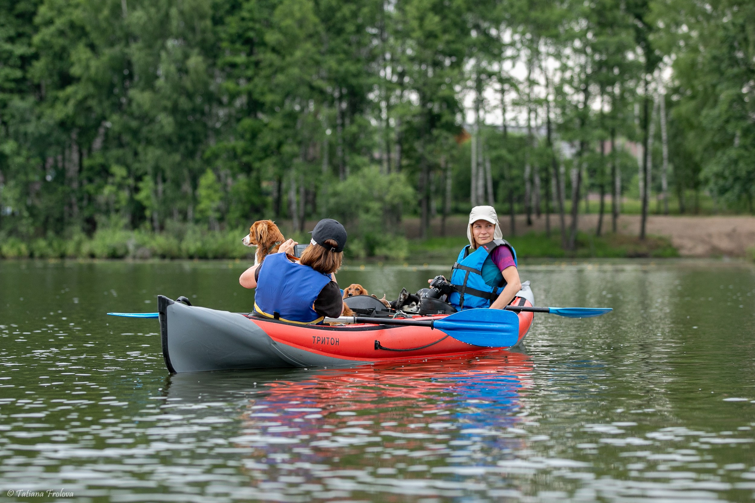 Фотоочет о сплаве на байдарках вместе с собаками. Фотограф-анималист в Москве и Московской области Татьяна Фролова