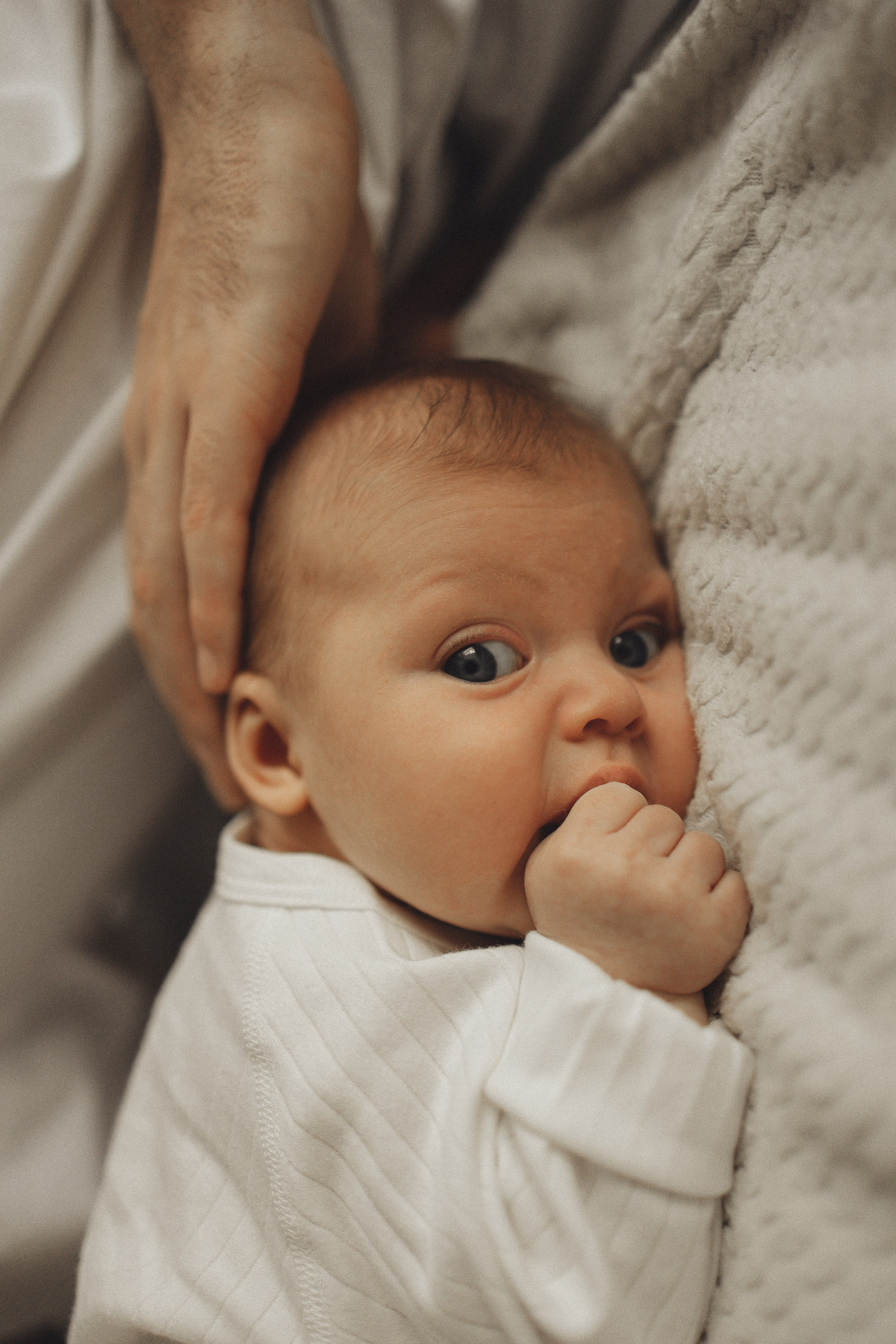 Домашняя история. Семейный и детский фотограф, таганрог, ростов-на-дону