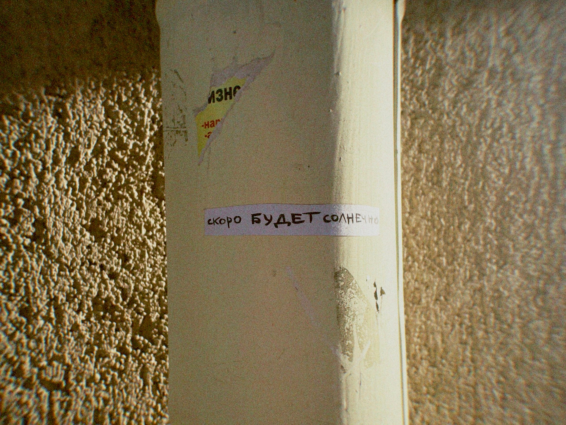 Street Caps. Alina Panover