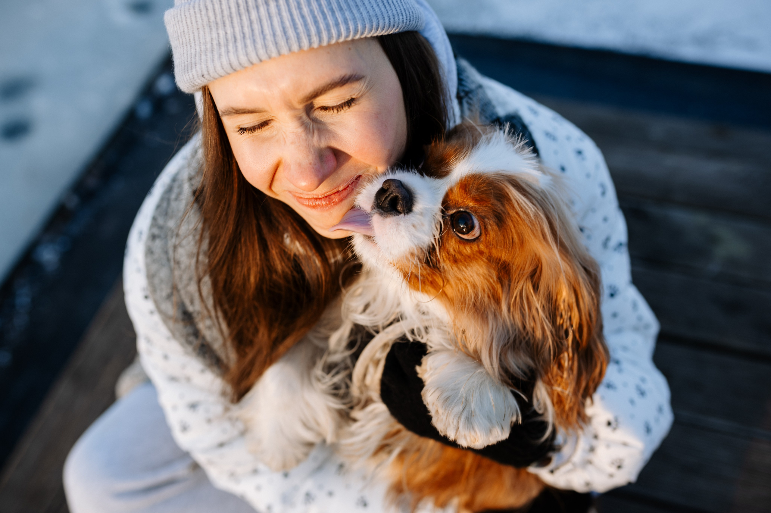 Лена и Арчи. Фотограф анималист в Москве Ольга Агушева