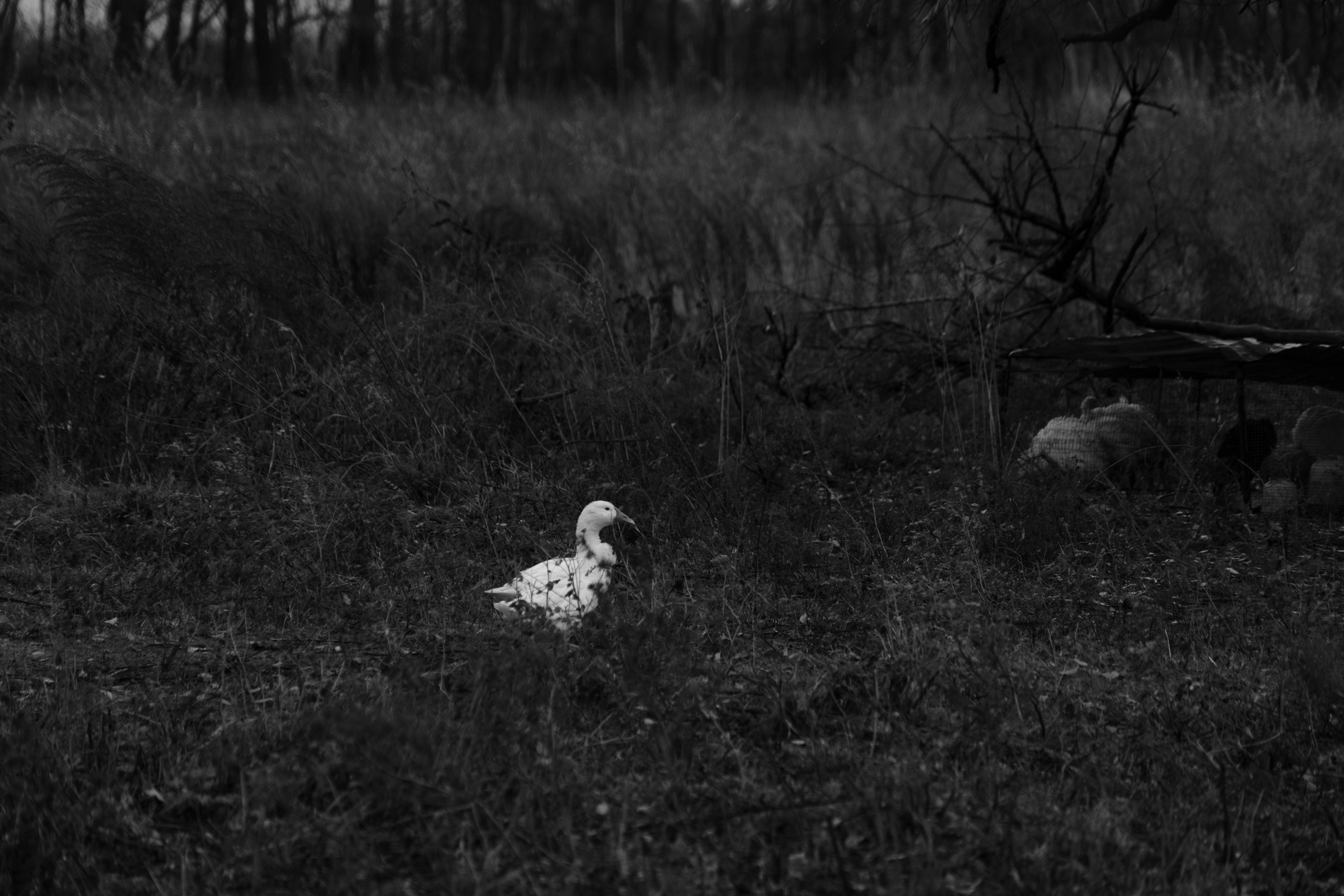 Бекстейдж сьемки кино. Профессиональная съемка в Алматы