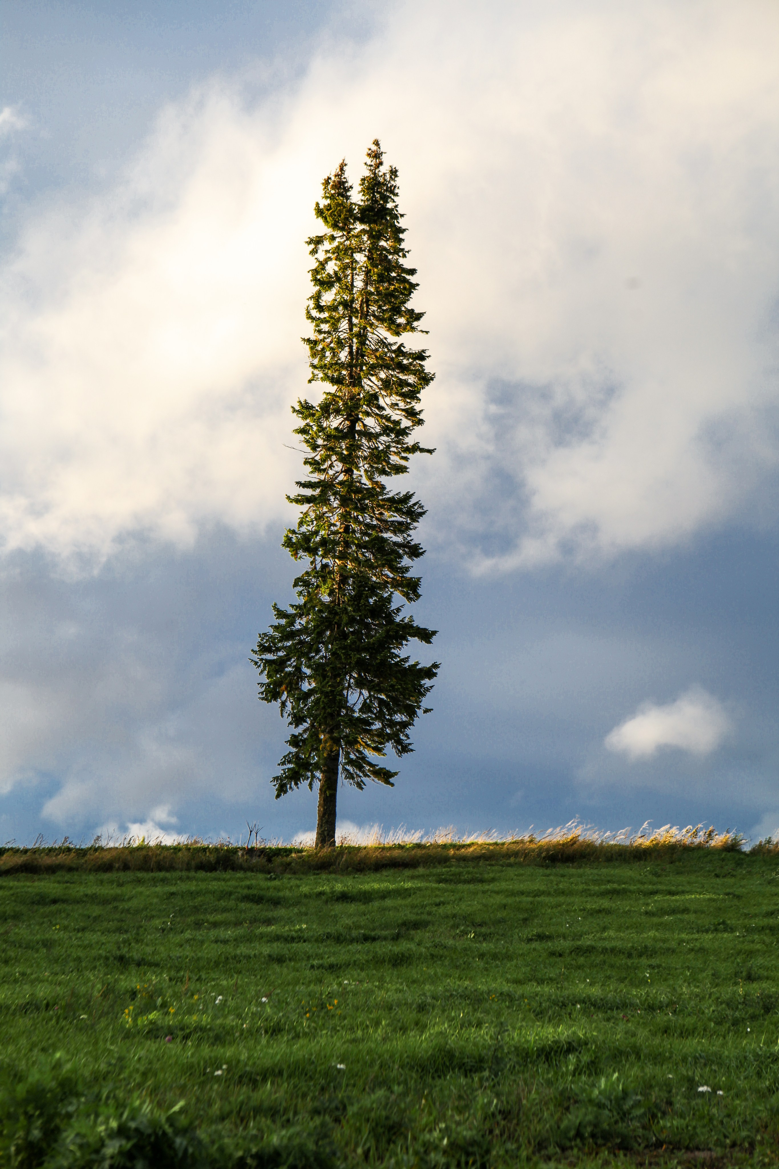 Природа. Трандин Иван Фотограф СПб