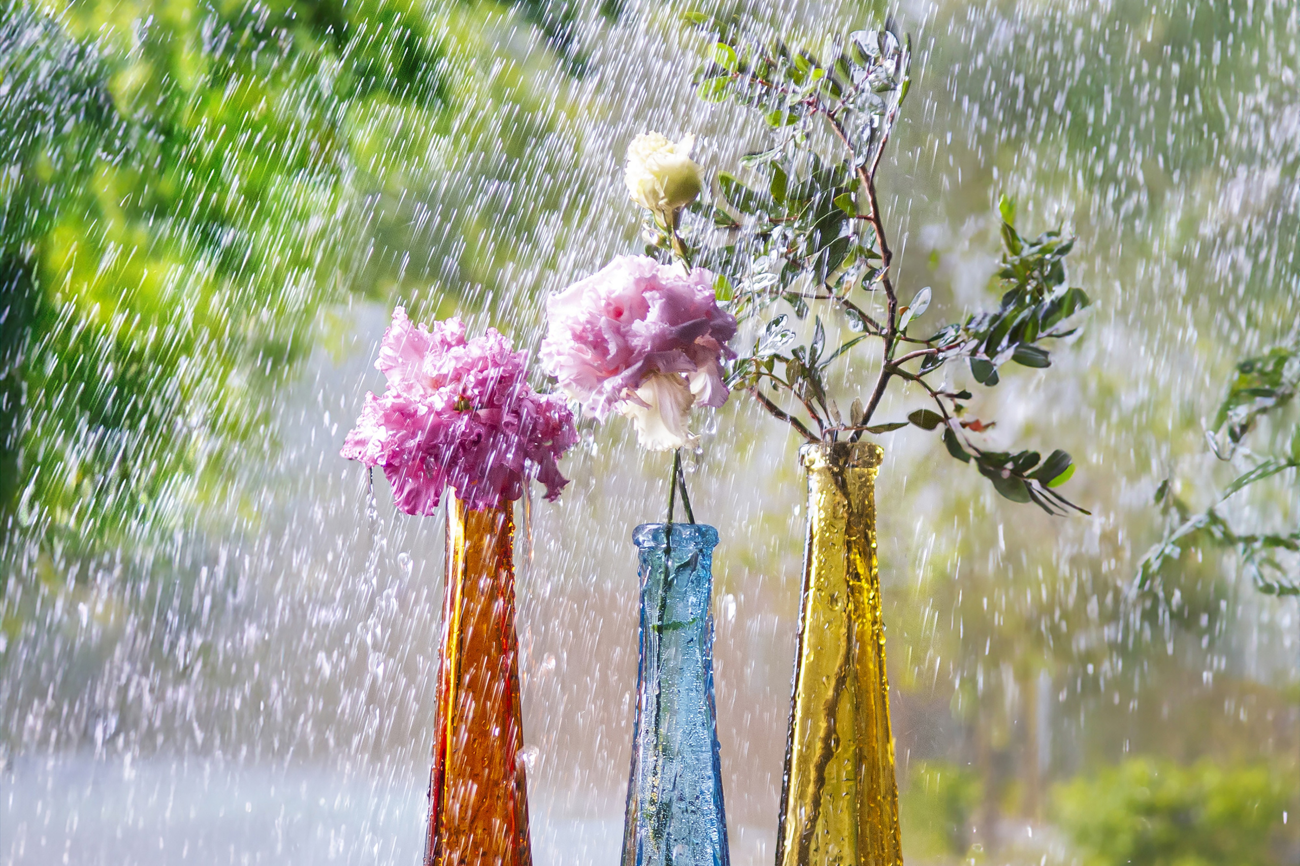 Фотограф Михаил Волков