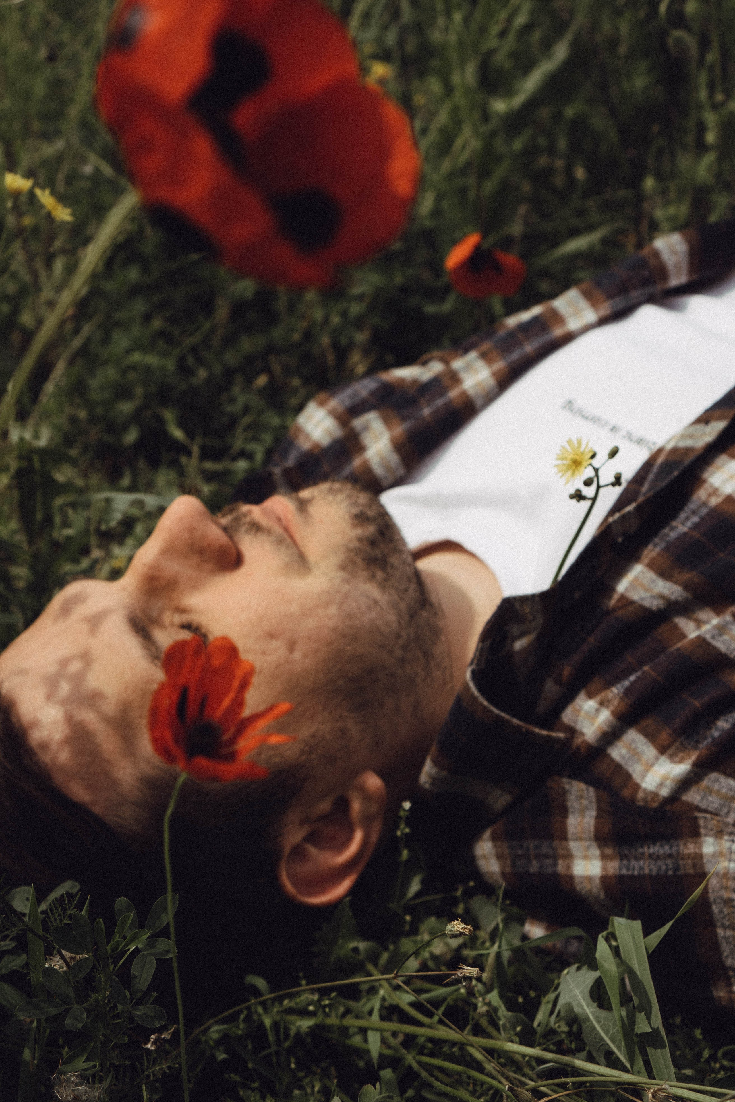 Маки. Профессиональный фотограф, Санкт-Петербург — Виктория Богомолова