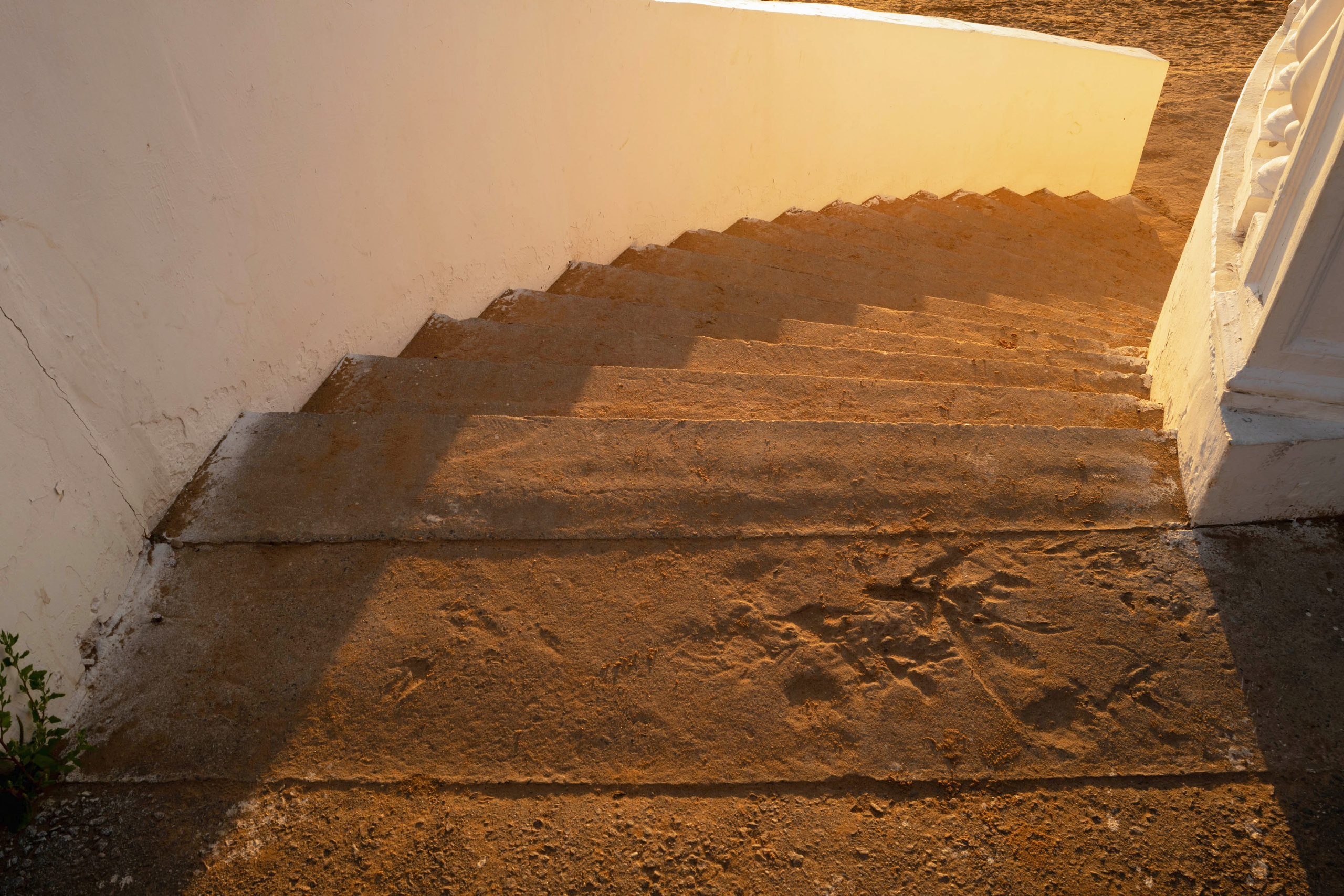 Мир тропы. Tatiana Mishchenko