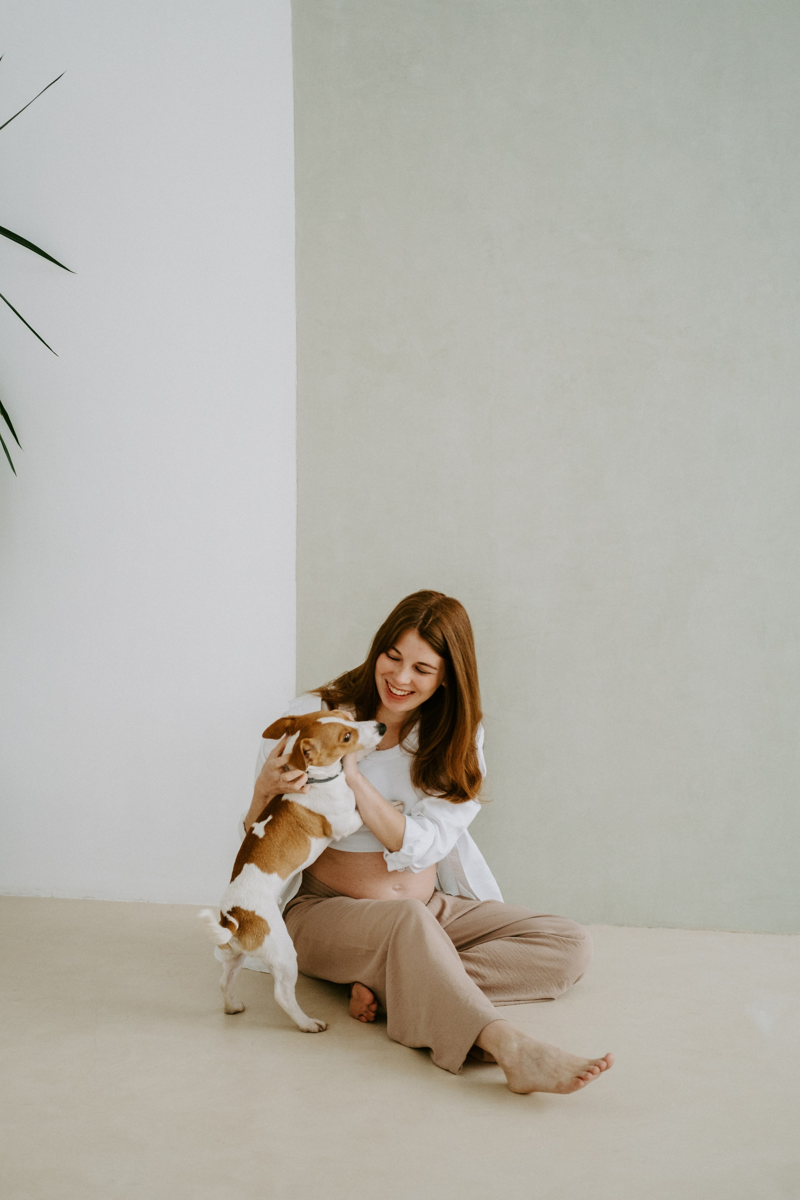 Фотосессия беременности в студии. Семейный фотограф в Москве Кристина Маркос