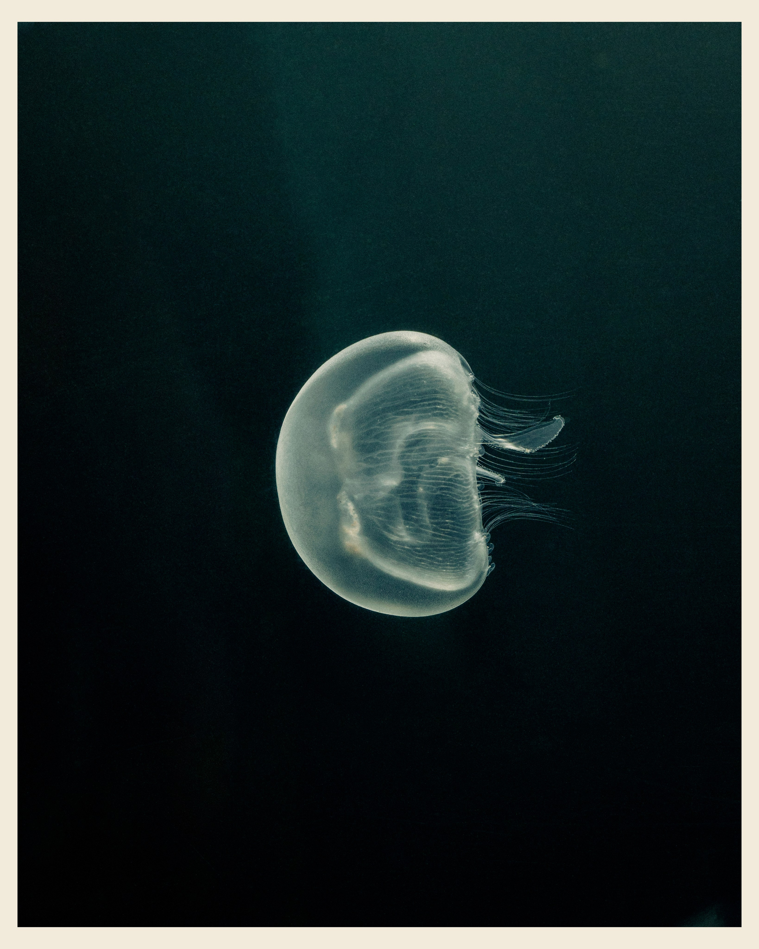 AILAND x VANO. Ivan Petrov photographer