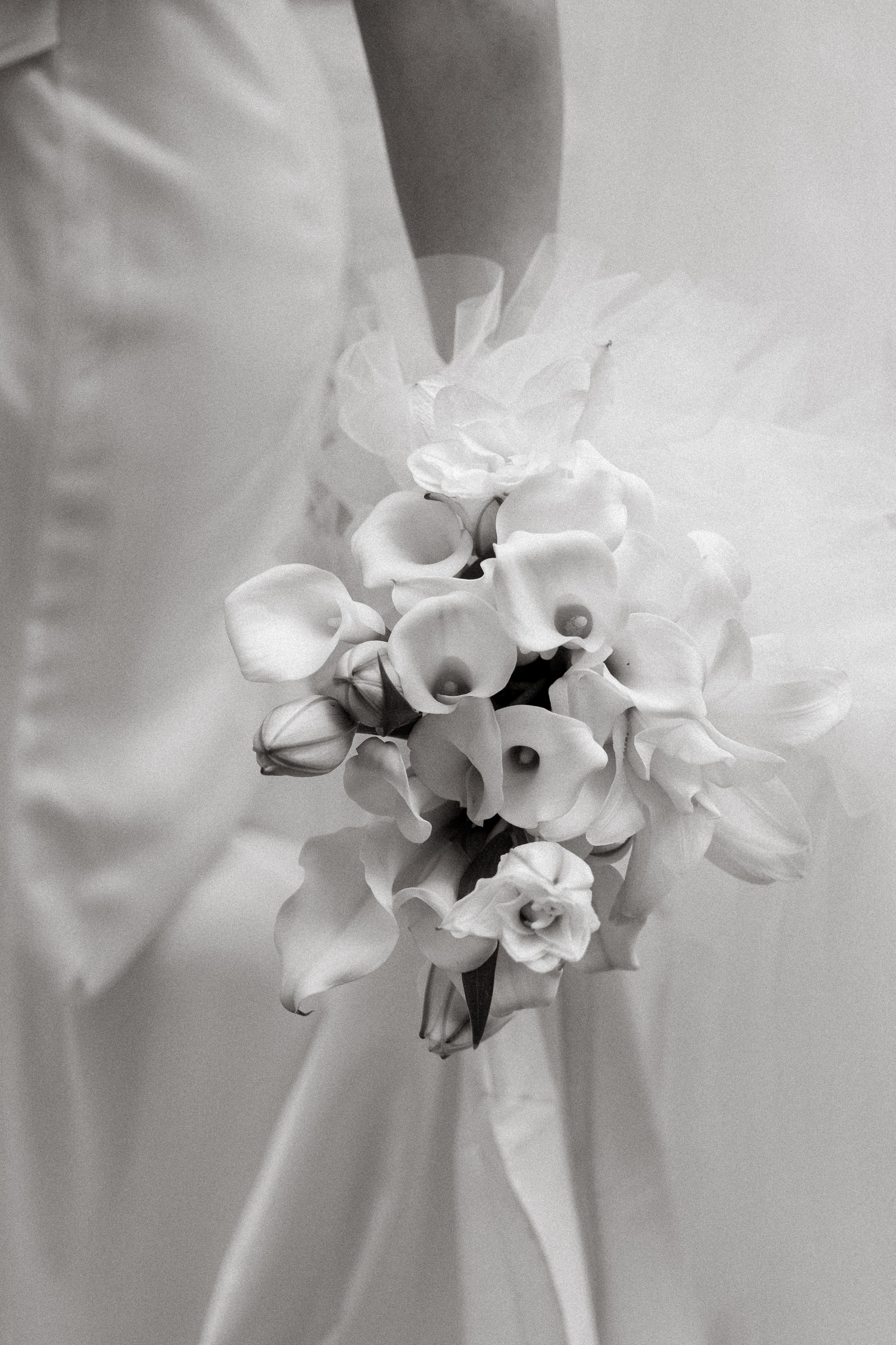 Classic. Свадебный фотограф Ярославль, Рыбинск