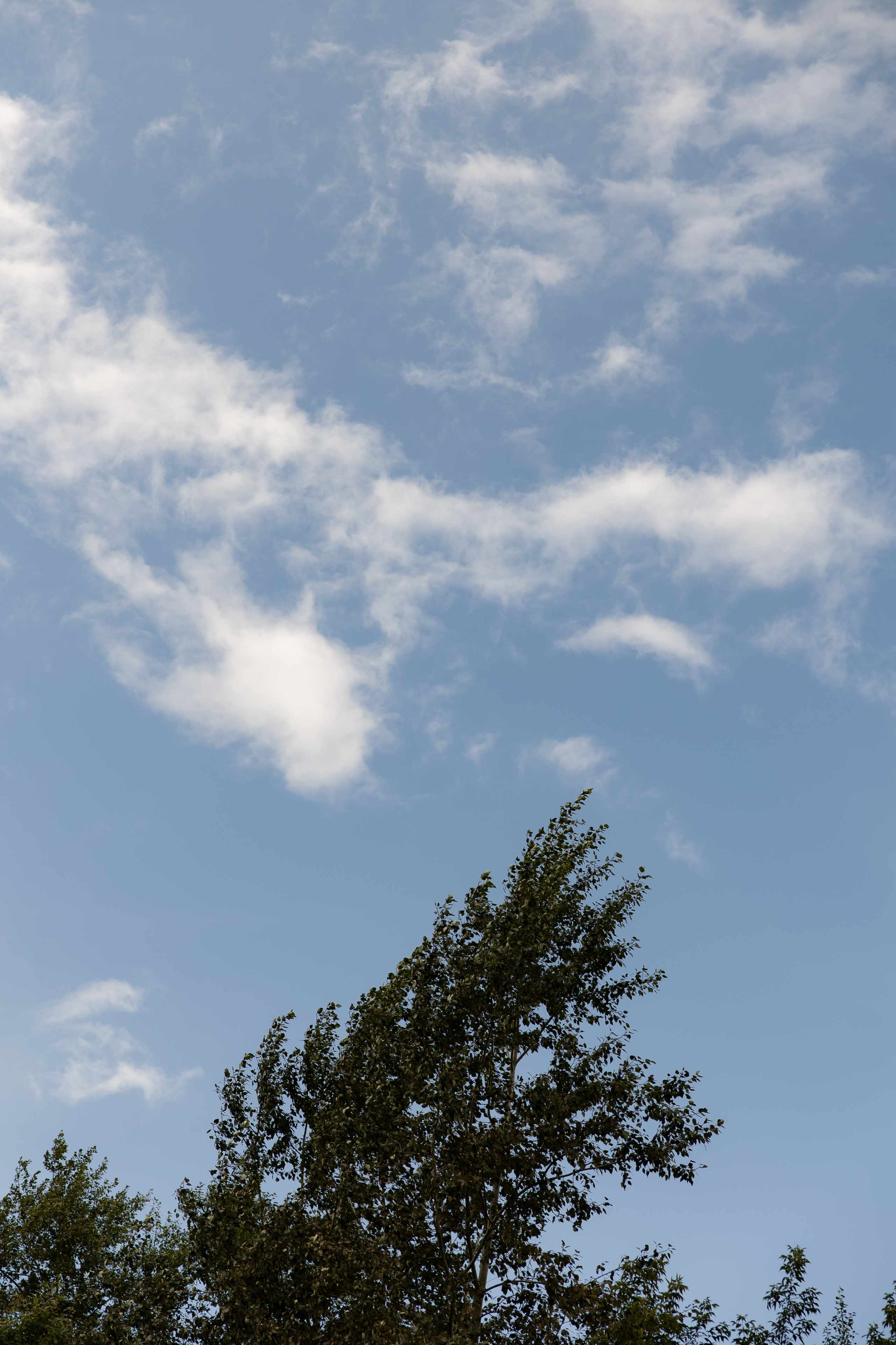 Ильяс и Юлия. Свадебный и семейный фотограф в Новосибирске Наталья Зорина