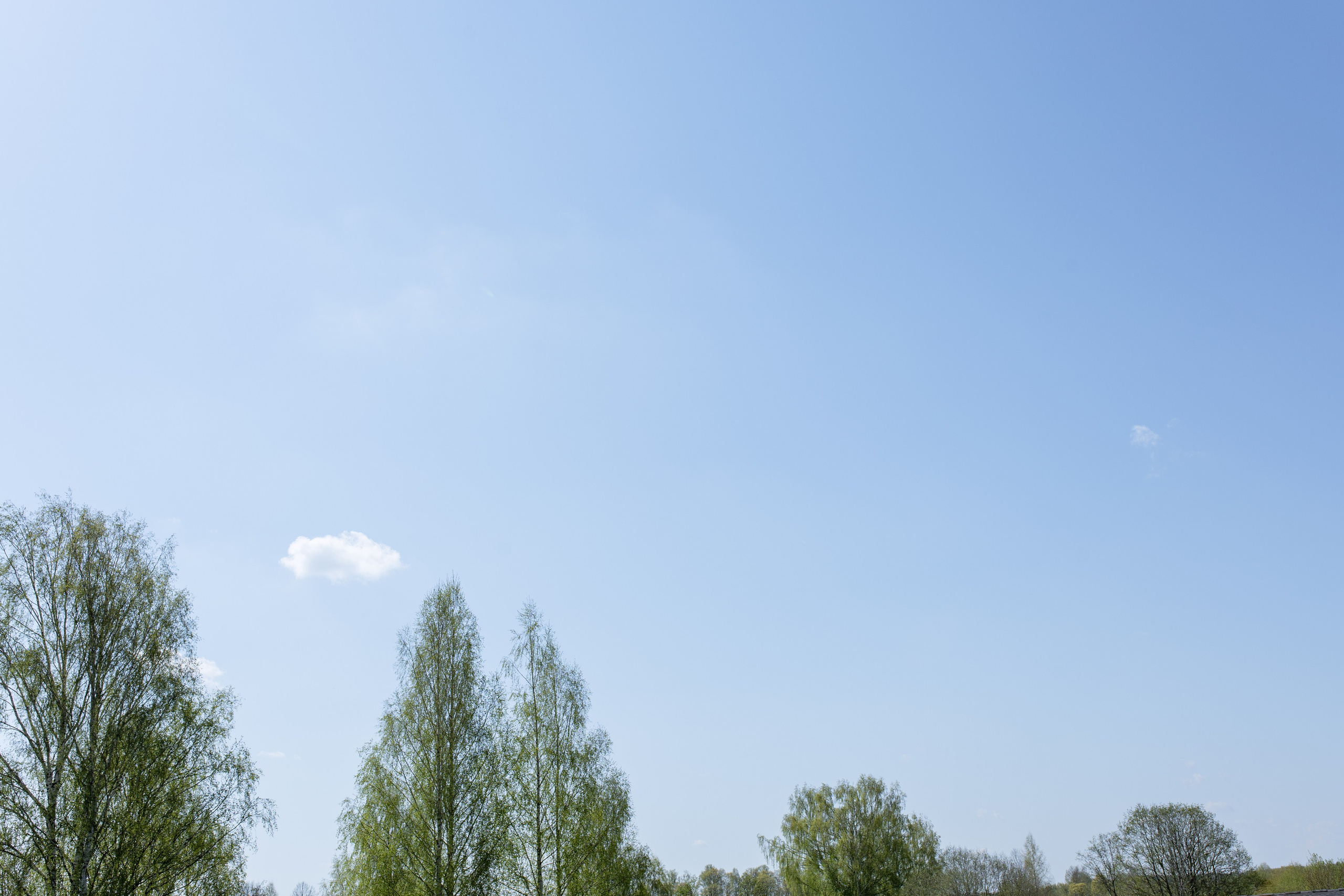 Виктория и Илья. Свадебный фотограф Витебск Минск