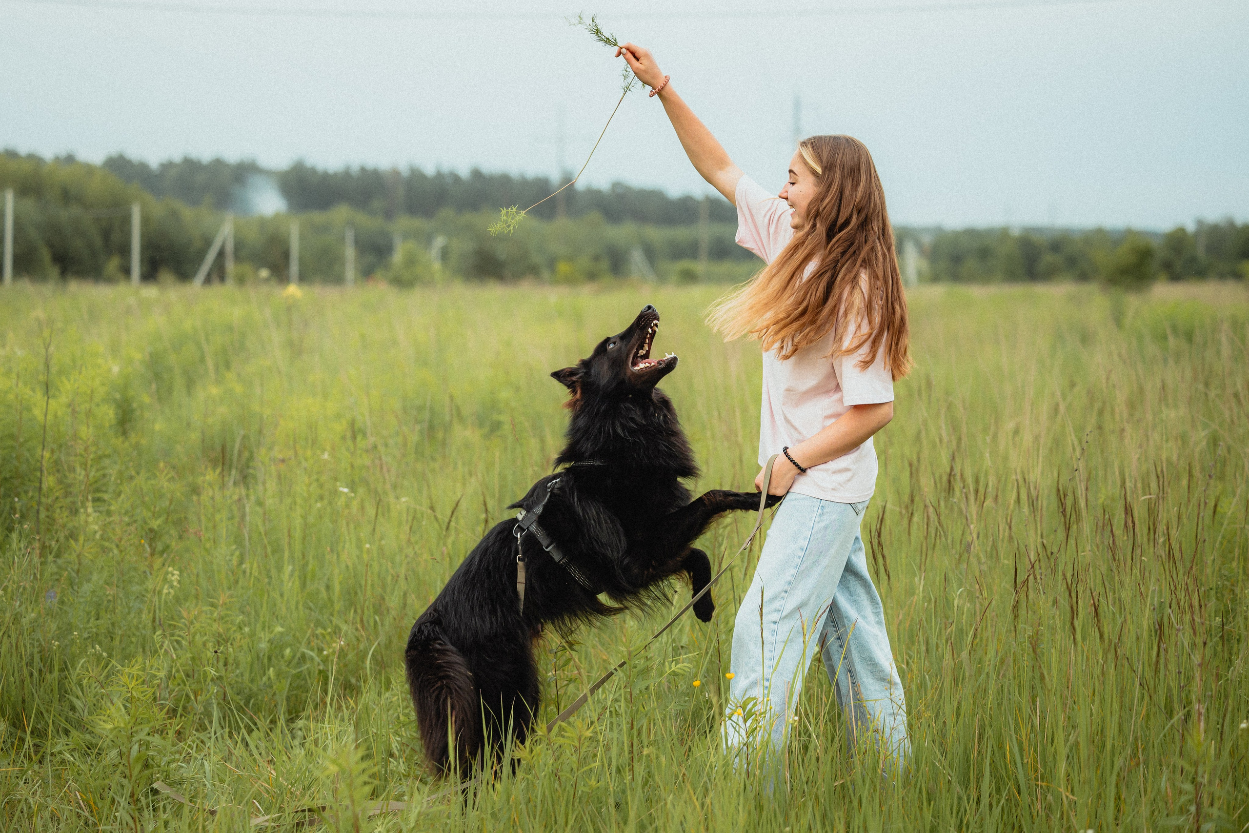 Выездной дог-тренинг от школы «Шерсть имею»