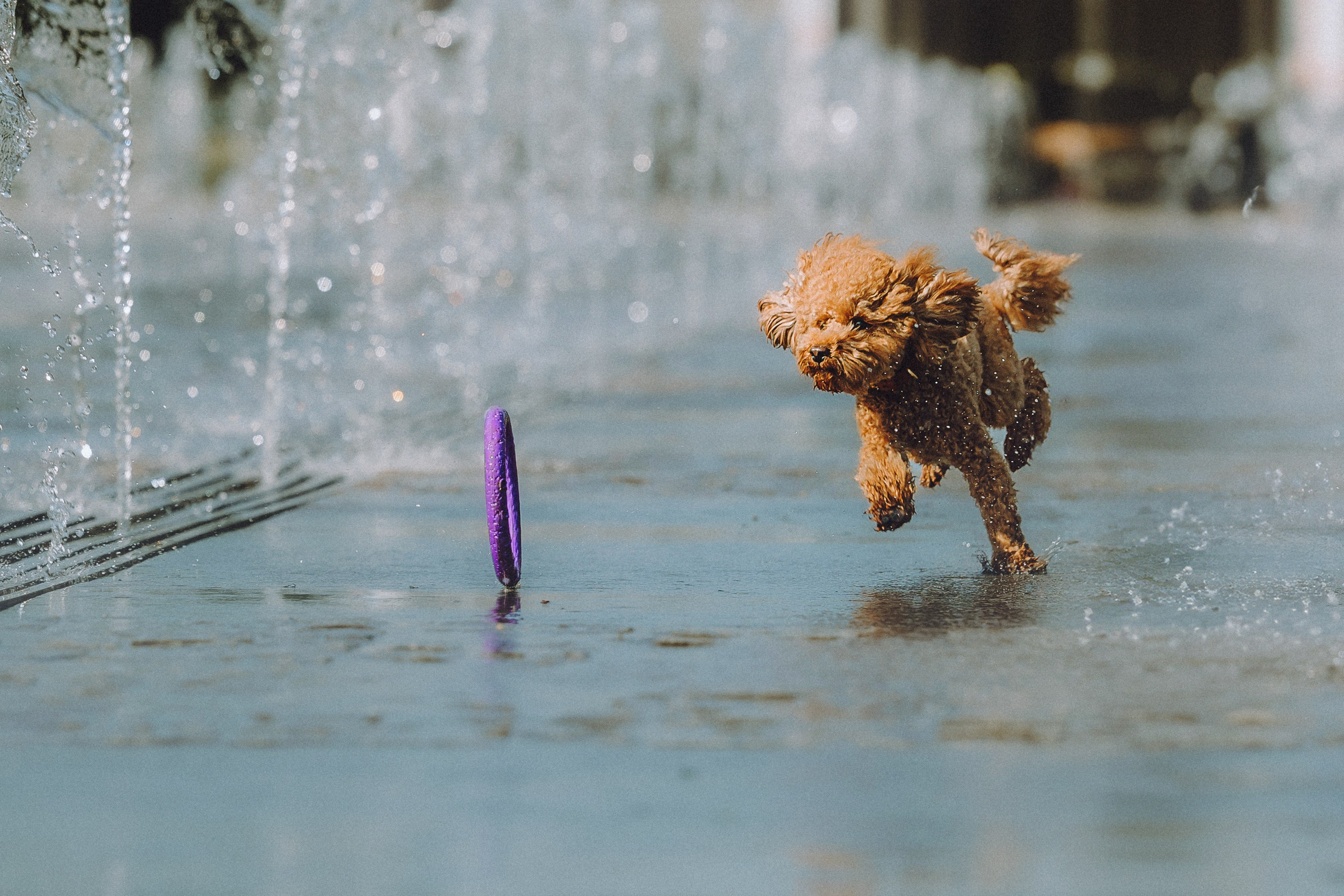 Марья и Буба